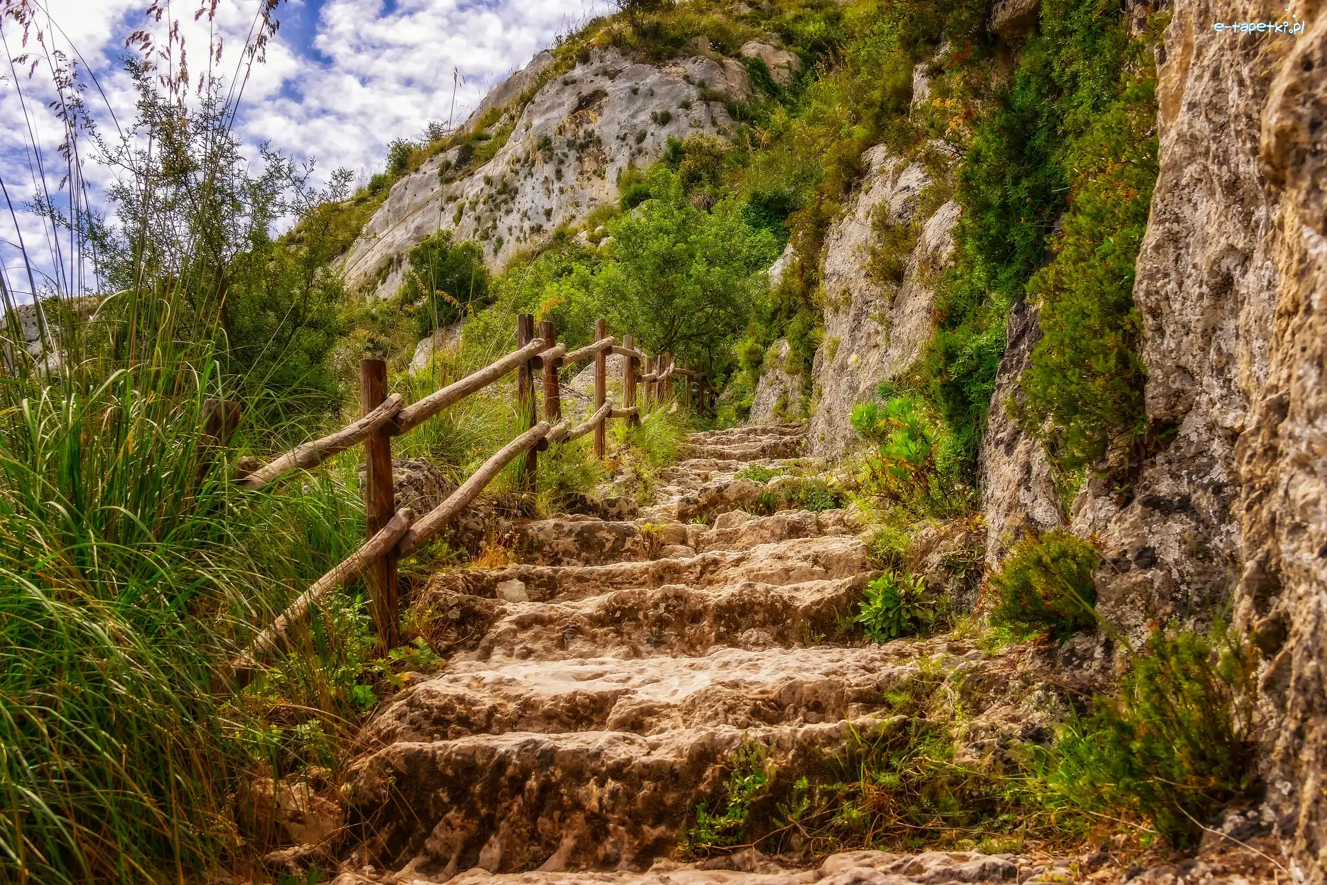 Skała, Krzewy, Wzgórze, Trawa, Roślinność, Poręcz, Schody