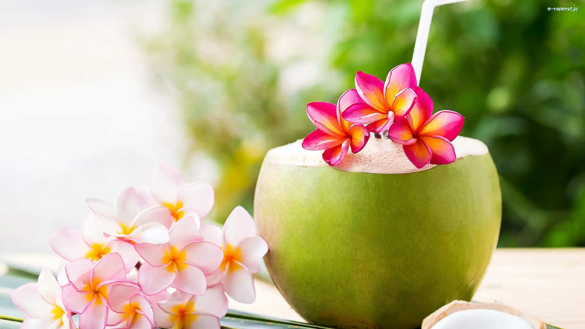 Plumeria, Słomka, Kokos, Kwiat