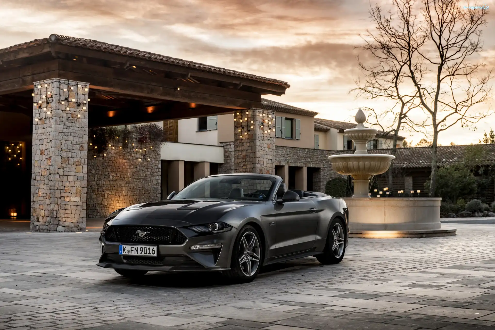 Cabrio, Dom, 2018, Ford Mustang GT