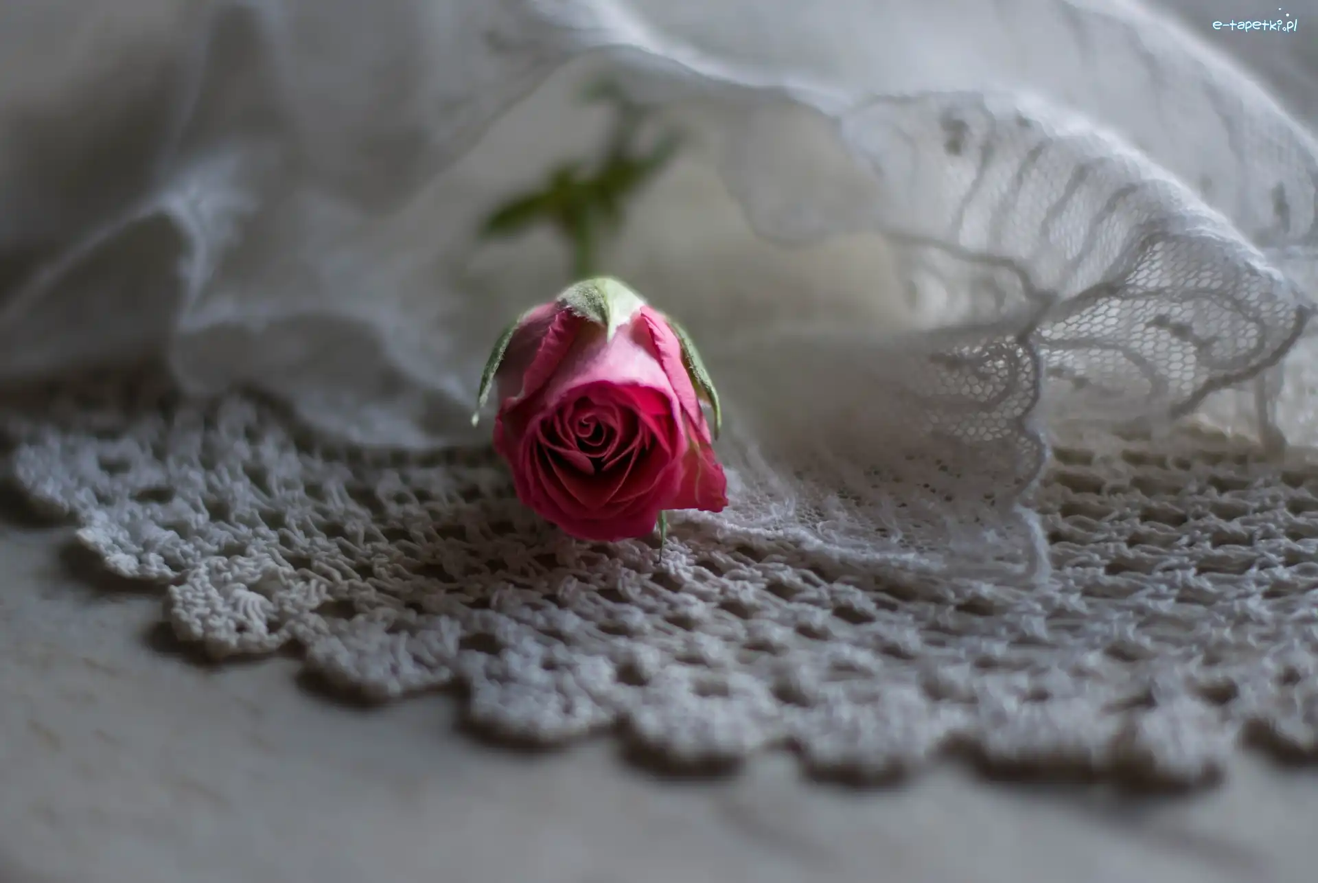 Szydełkowa, Handmade, Serwetka, Pączek, Róża