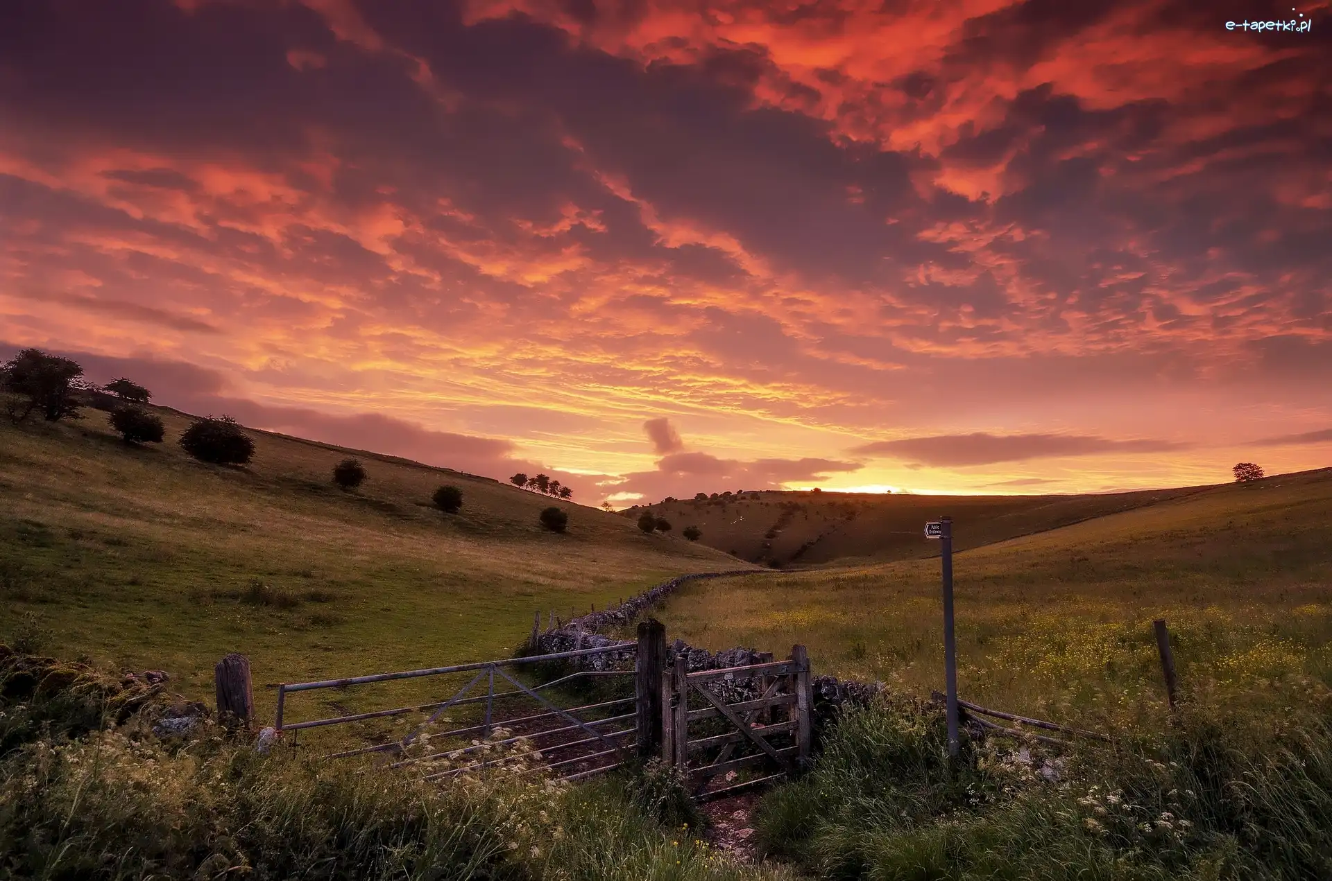 Ogrodzenie, Wzgórza, Wschód słońca, Drzewa, Anglia, Park Narodowy Peak District