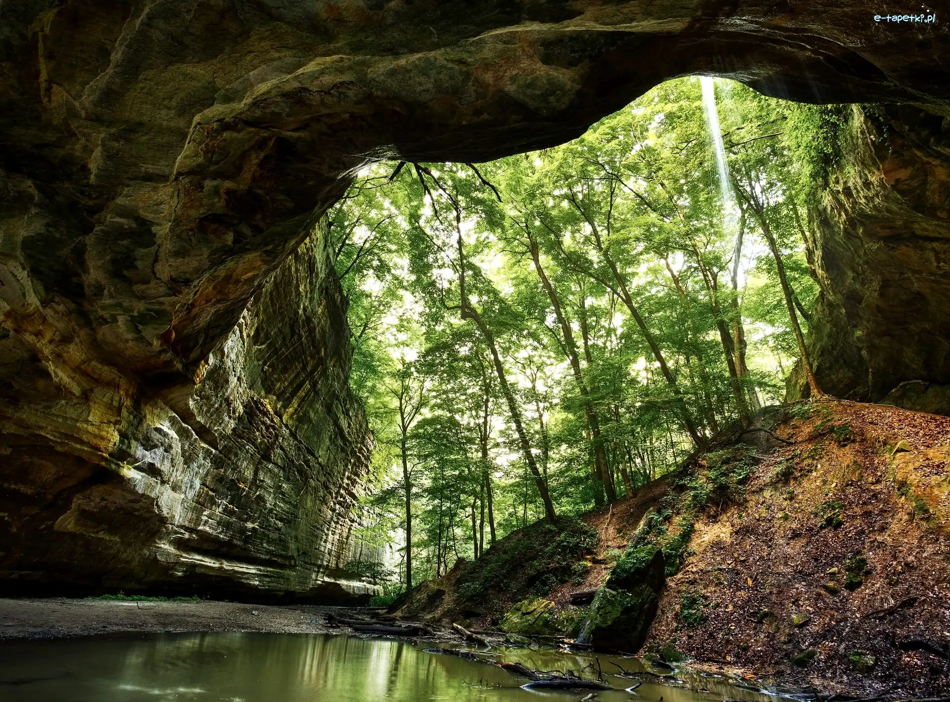 Stan Illinois, Skały, Drzewa, Stany Zjednoczone, Kanion, Park stanowy Starved Rock