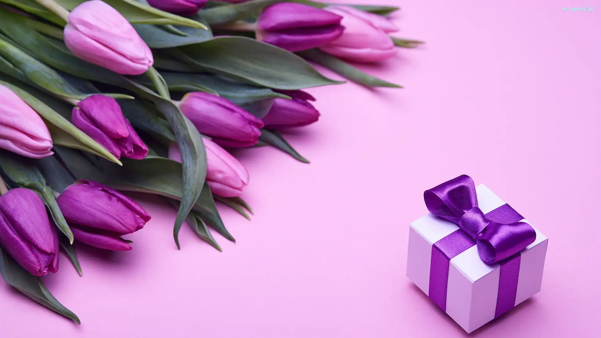 Prezent, Tulipany