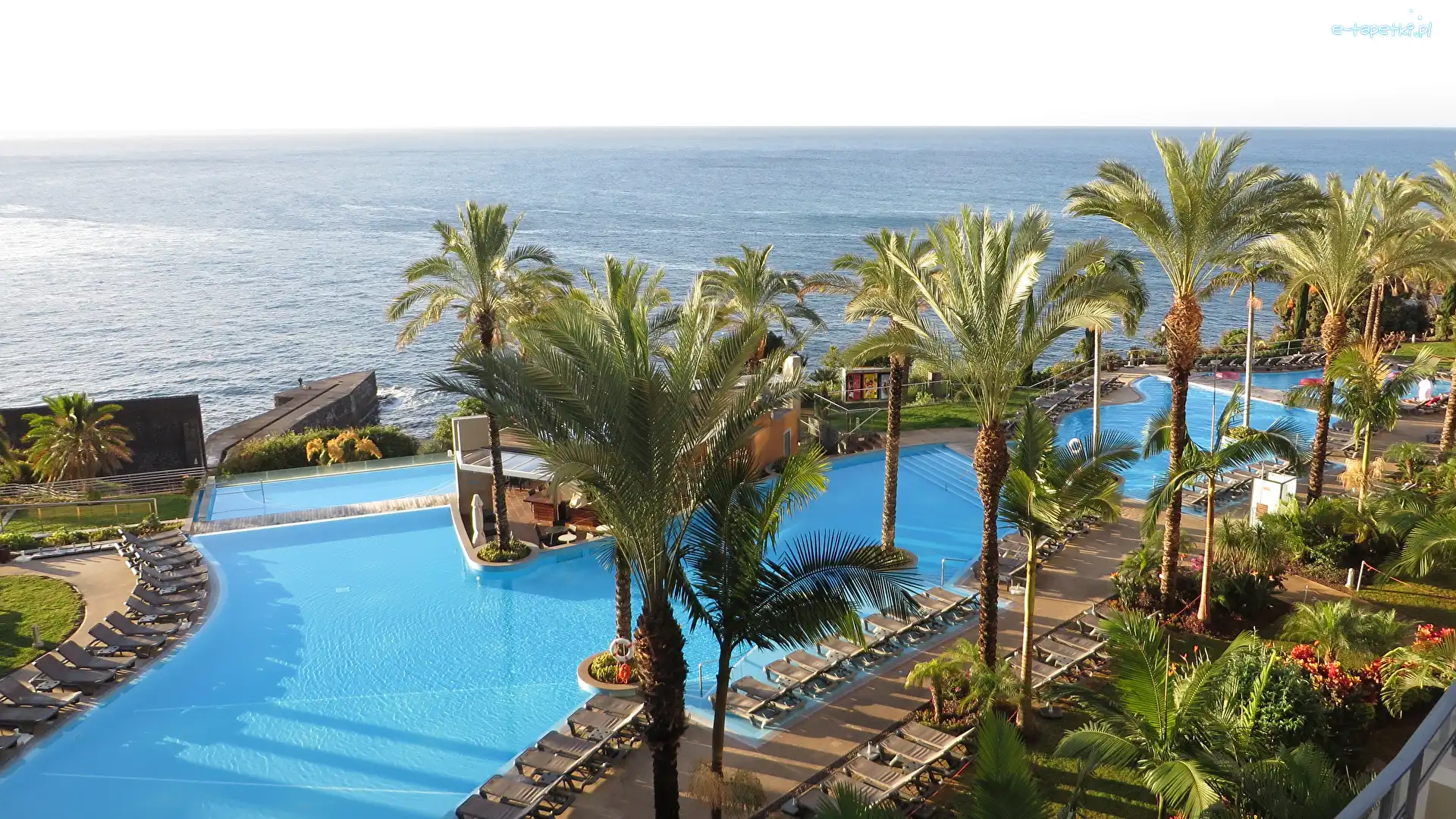 Palmy, Basen, Madera, Miejscowość Funchal, Hotel Pestana Promenade, Wakacje, Ocean Atlantycki, Portugalia, Morze