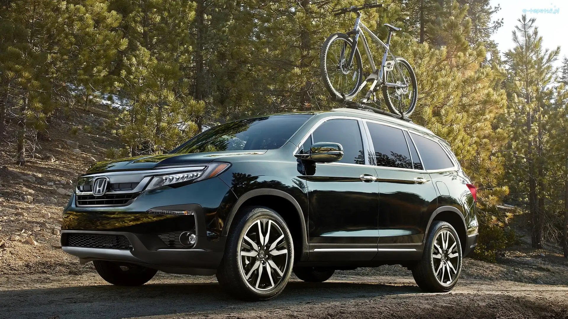 Trzecia, Rower, Generacja, Honda Pilot