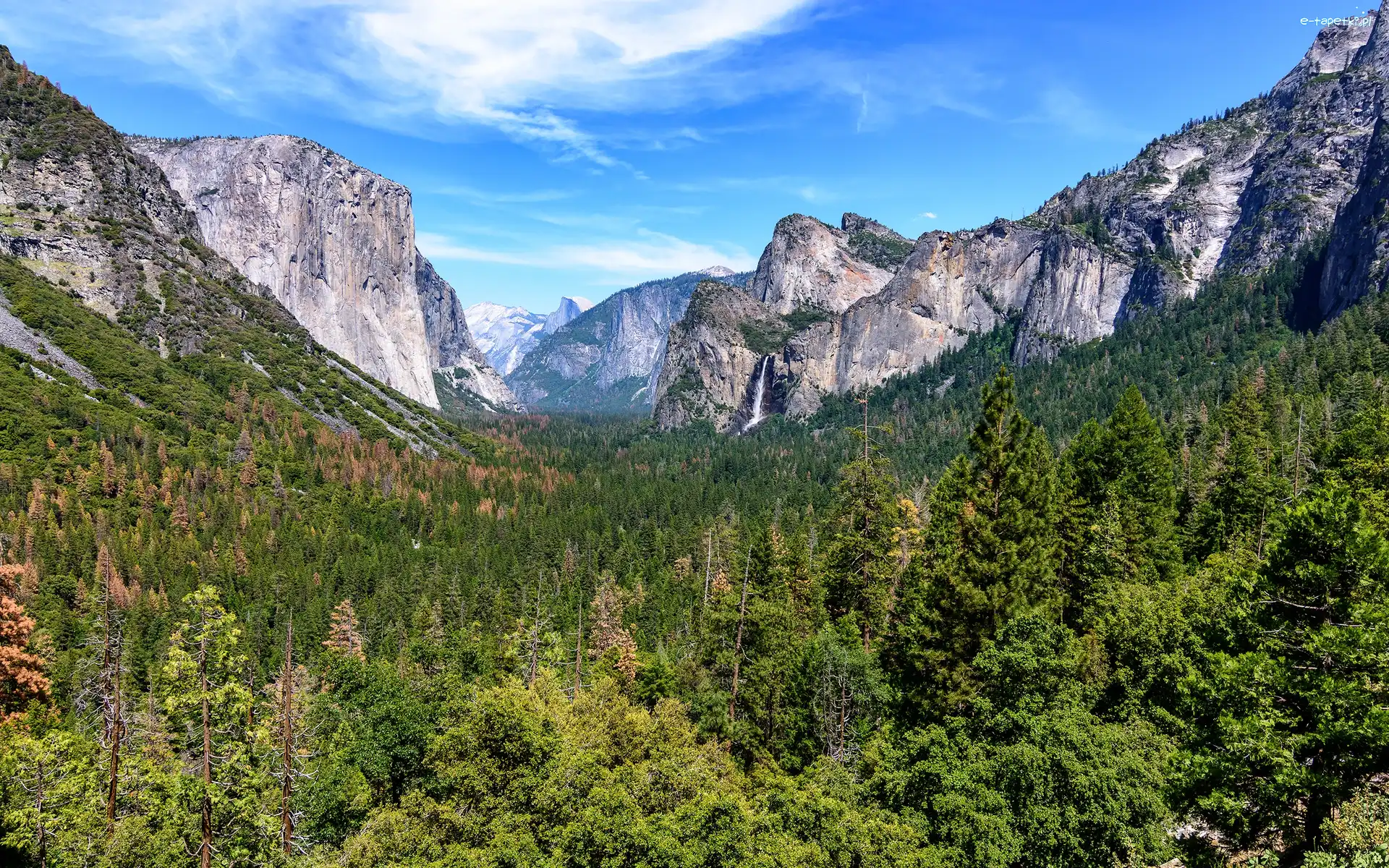 Stan Kalifornia, Dolina Yosemite Valley, Drzewa, Stany Zjednoczone, Góry, Park Narodowy Yosemite