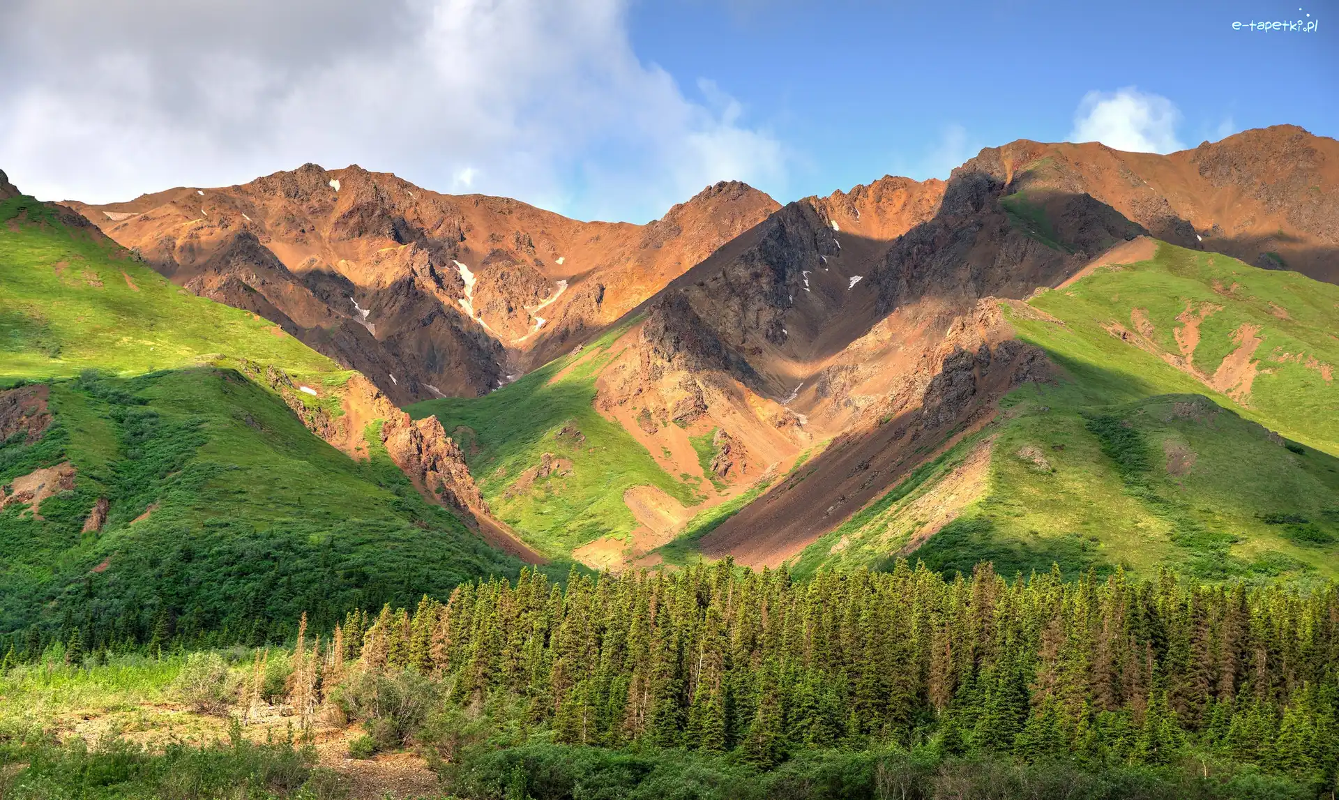 Kordyliery, Park Narodowy Denali, Góry Alaska, Drzewa, Stan Alaska, Stany Zjednoczone