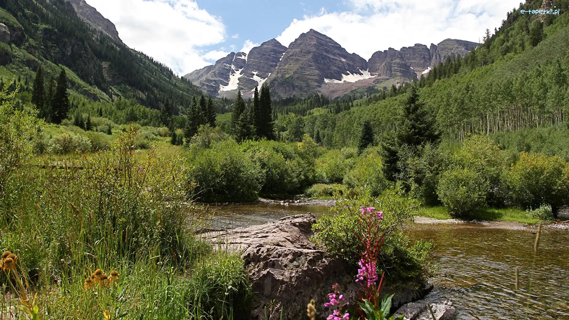 Roślinność, Pasmo Elk Mountains, Stany Zjednoczone, Kamienie, Las White River National Forest, Krzewy, Rzeka White River, Góry Skaliste, Szczyty Maroon Bells, Stan Kolorado