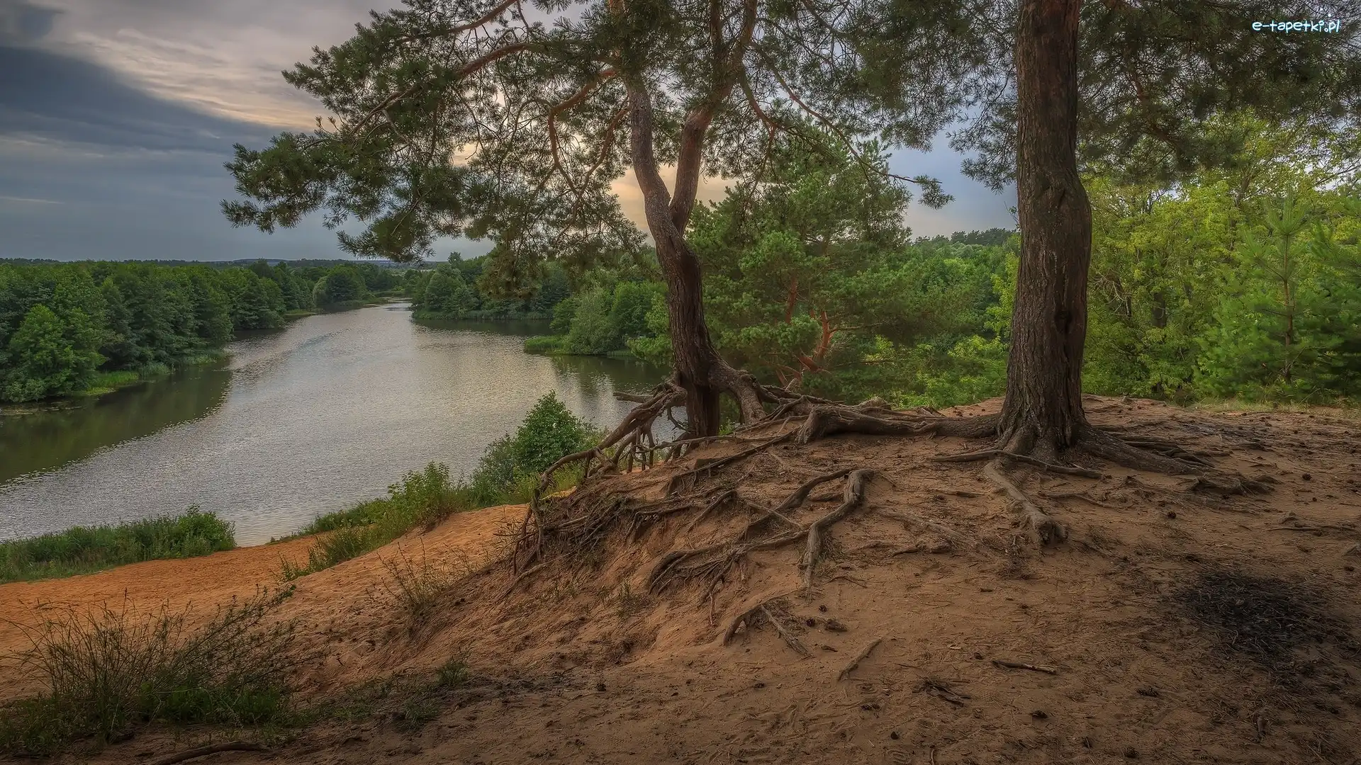 Lasy, Drzewa, Rzeka