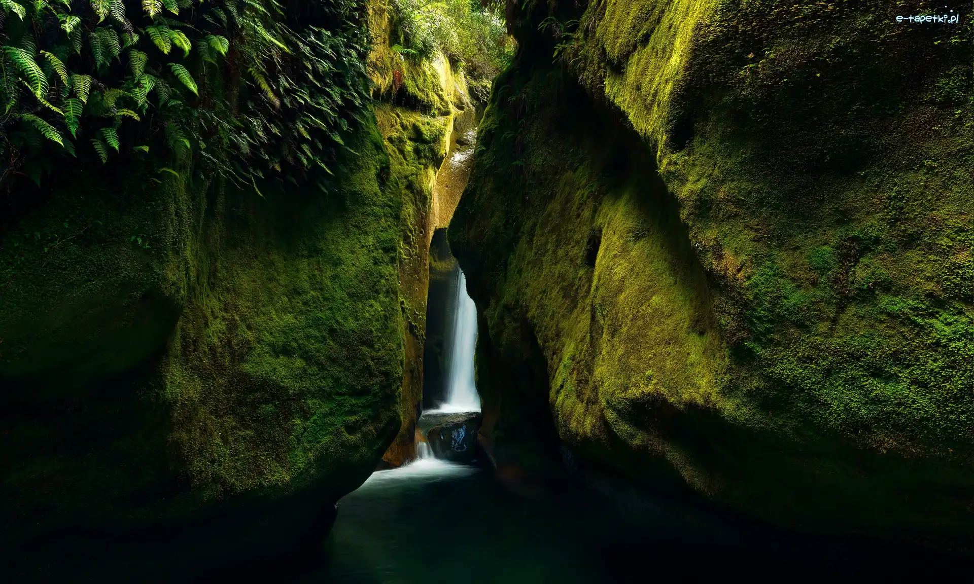 Australia, Upper Chasm Falls, Mech, Wodospad, Skały, Tasmania, Roślinność