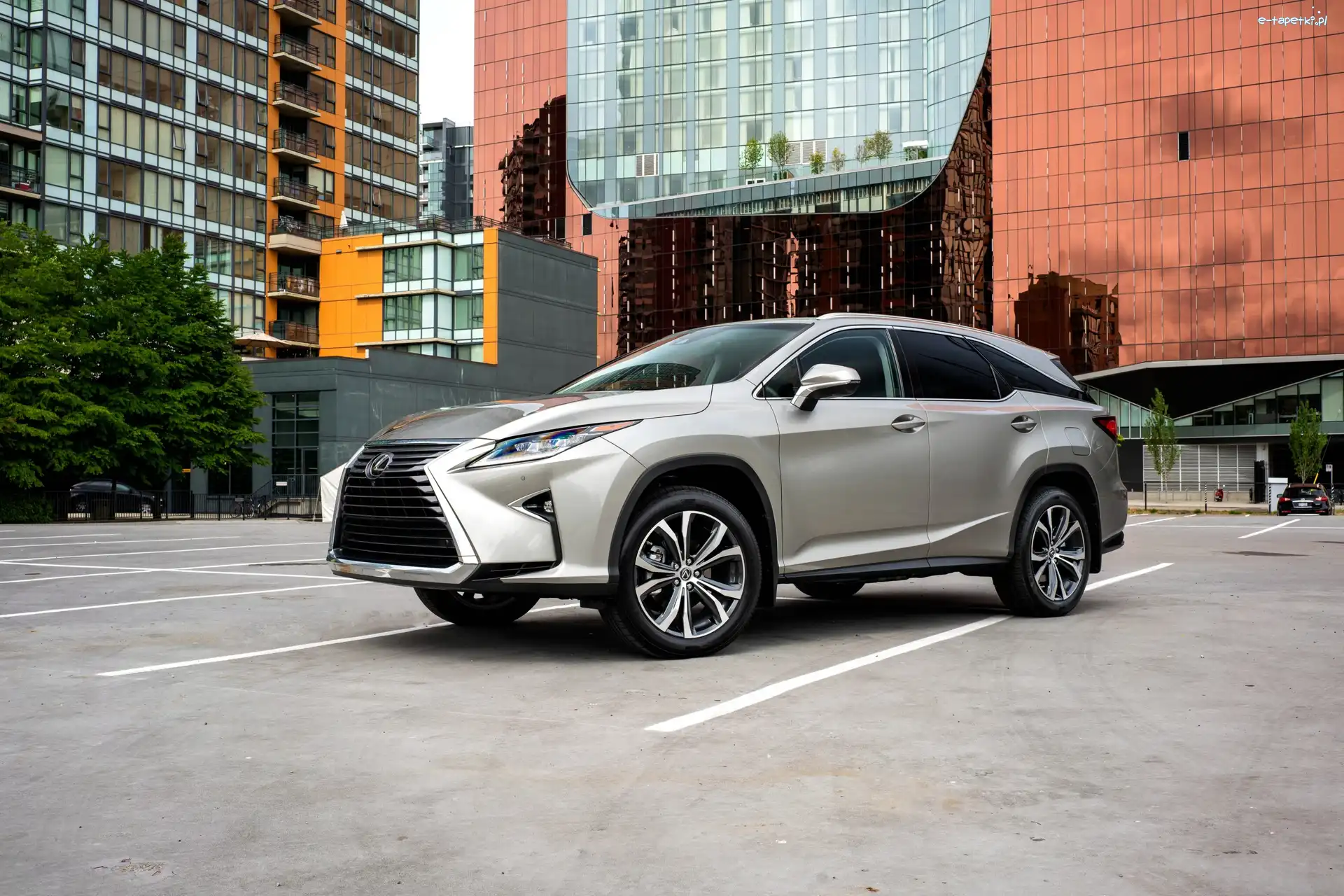 350L, Lexus RX, Samochód