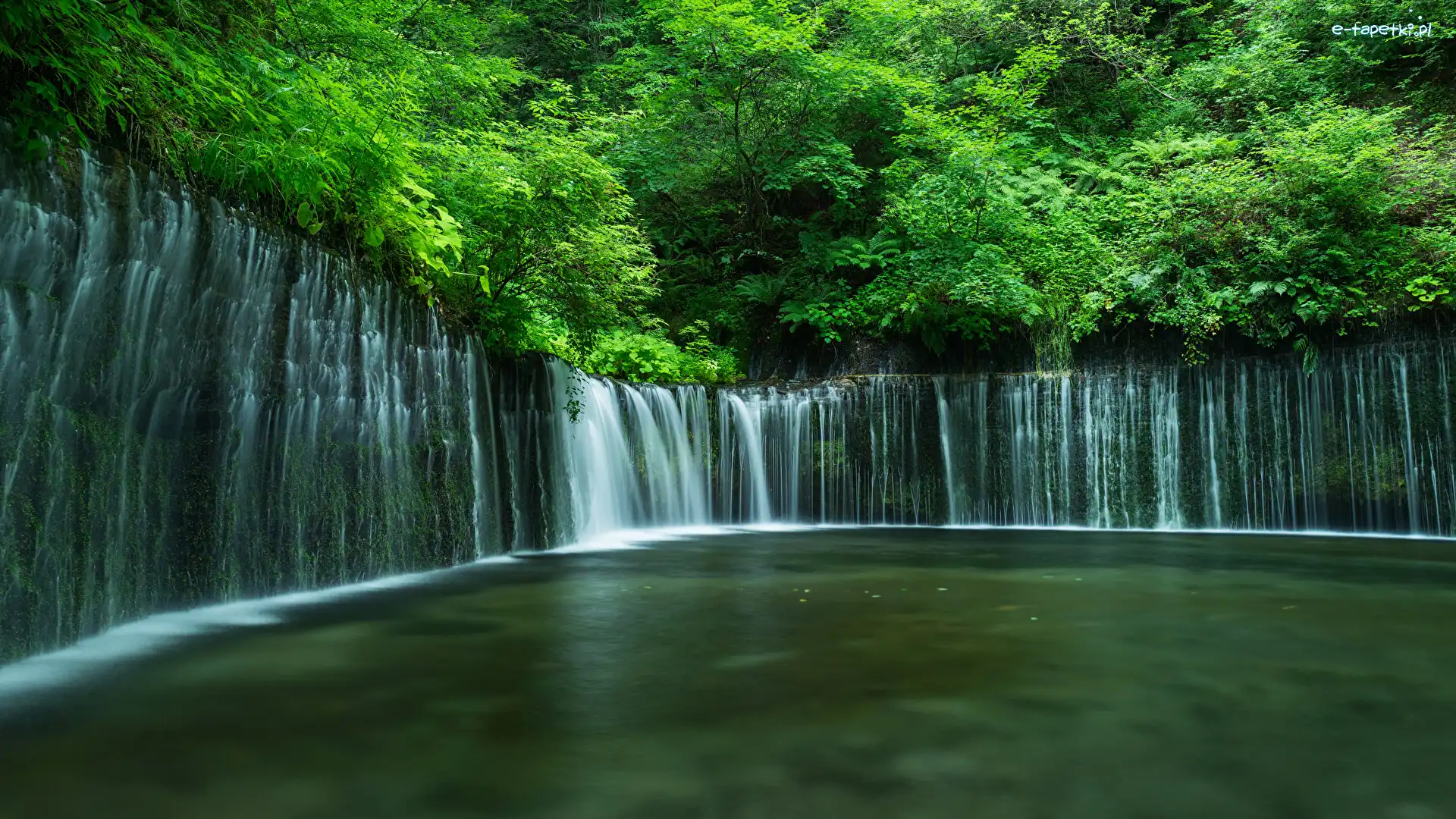 Japonia, Park Narodowy Fudżi Hakone Izu, Wodospad Shiraito Falls, Drzewa, Skały