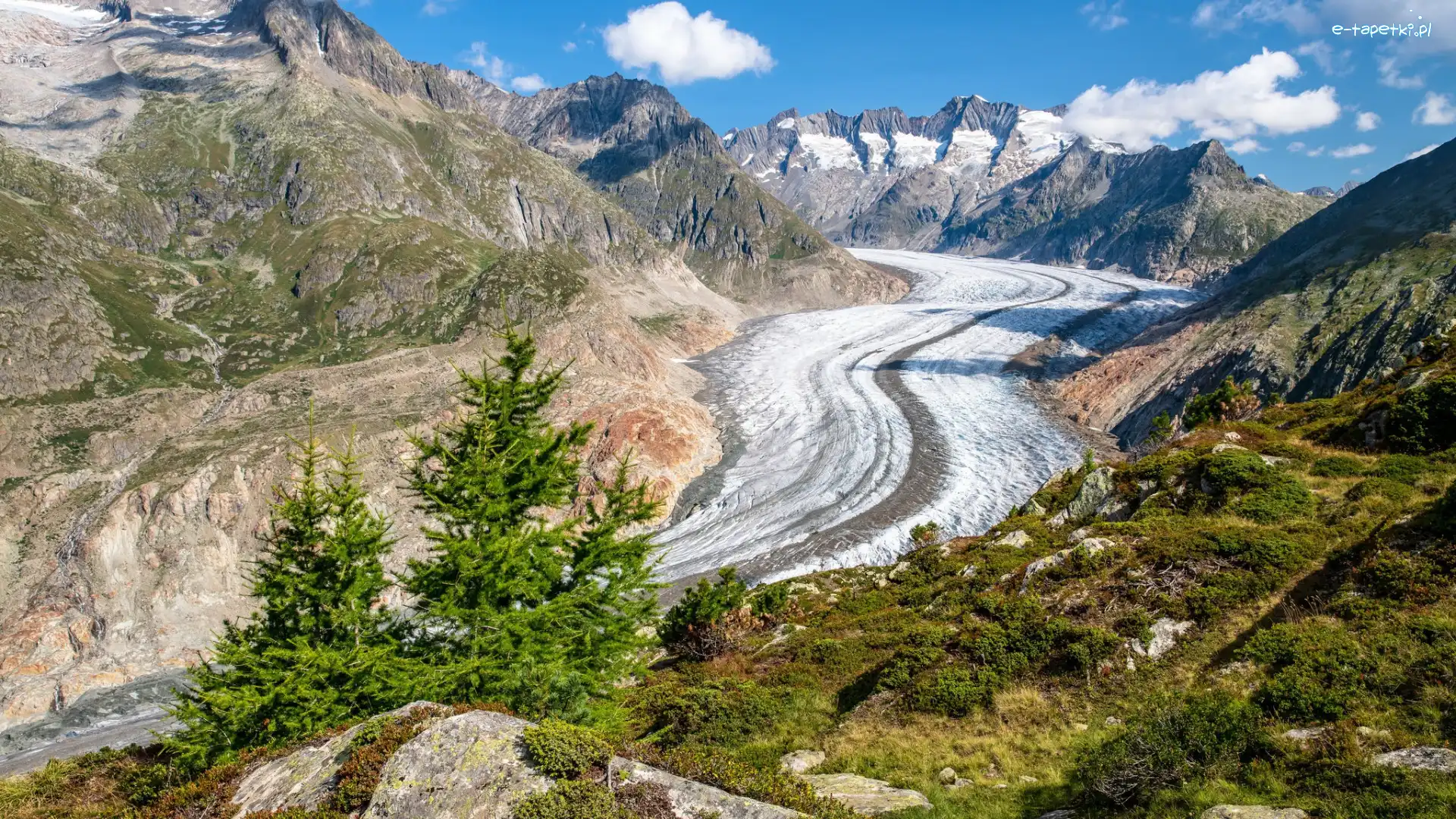Lodowiec Aletschgletscher, Góry Alpy Berneńskie, Aletsch, Szwajcaria, Kanton Valais