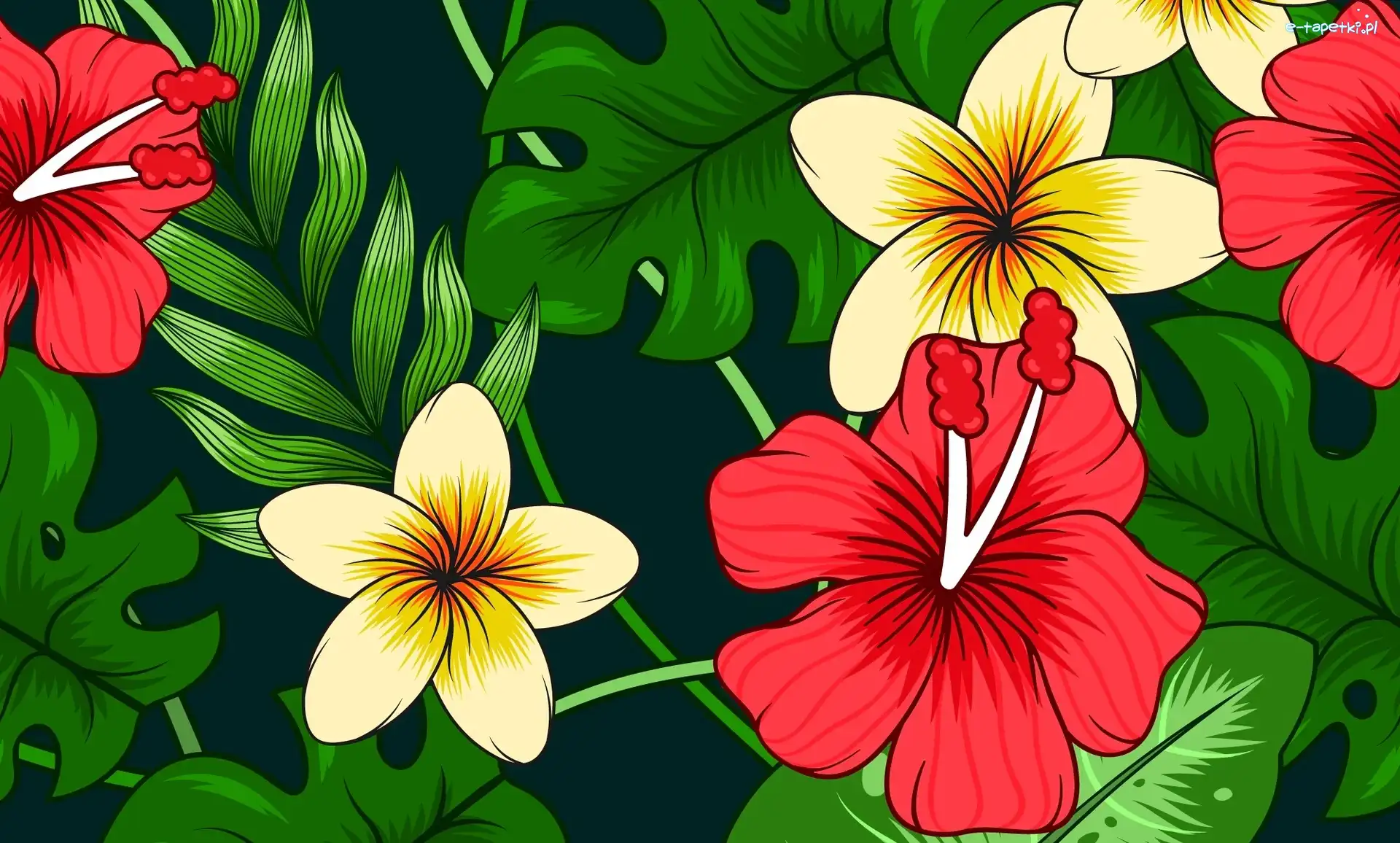 Plumerie, Liście, Hibiskusy, Kwiaty