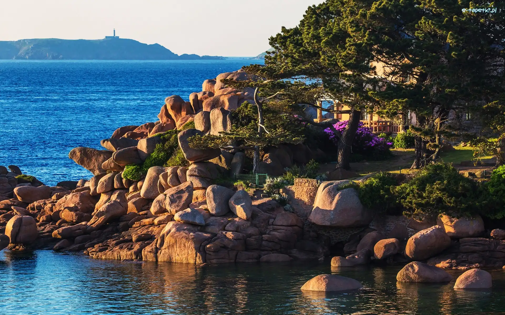 Drzewa, Brzeg, Francja, Bretania, Kamienie, Dom, Miejscowość Saint Guirec, Morze