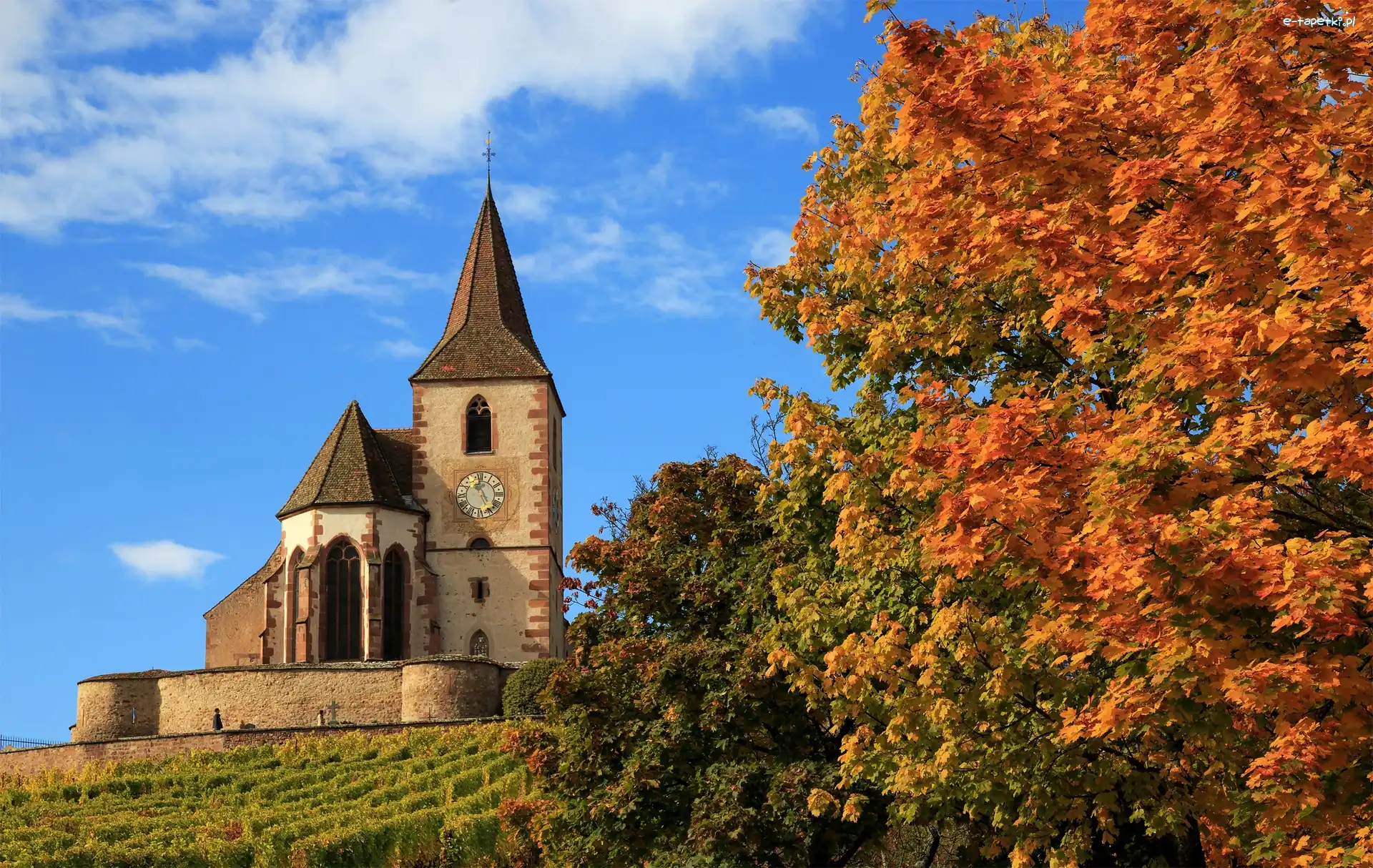 Francja, Kościół św. Jakuba Majora, Miejscowość Hunawihr, Drzewa, Church Saint Jacques le Majeur