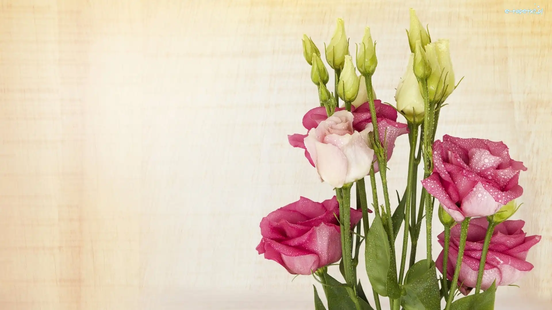 Krople, Eustoma, Kwiaty