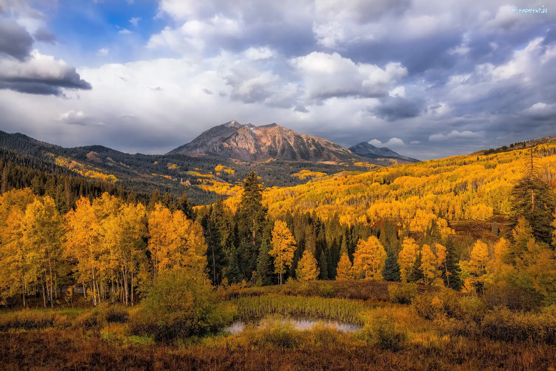 Niebo, Góry East Beckwith Mountain, Stany Zjednoczone, Stan Kolorado, Drzewa, Chmury, Hrabstwo Gunnison, Jesień