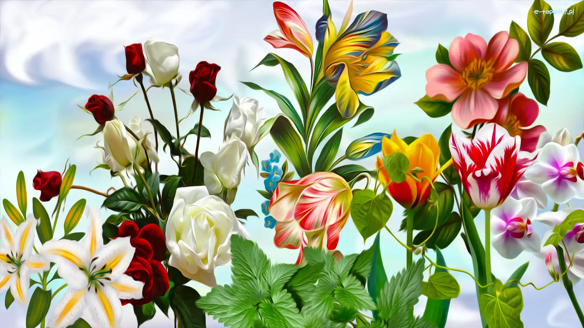 Kwiaty, Tulipany, Róże, Grafika, Lilie