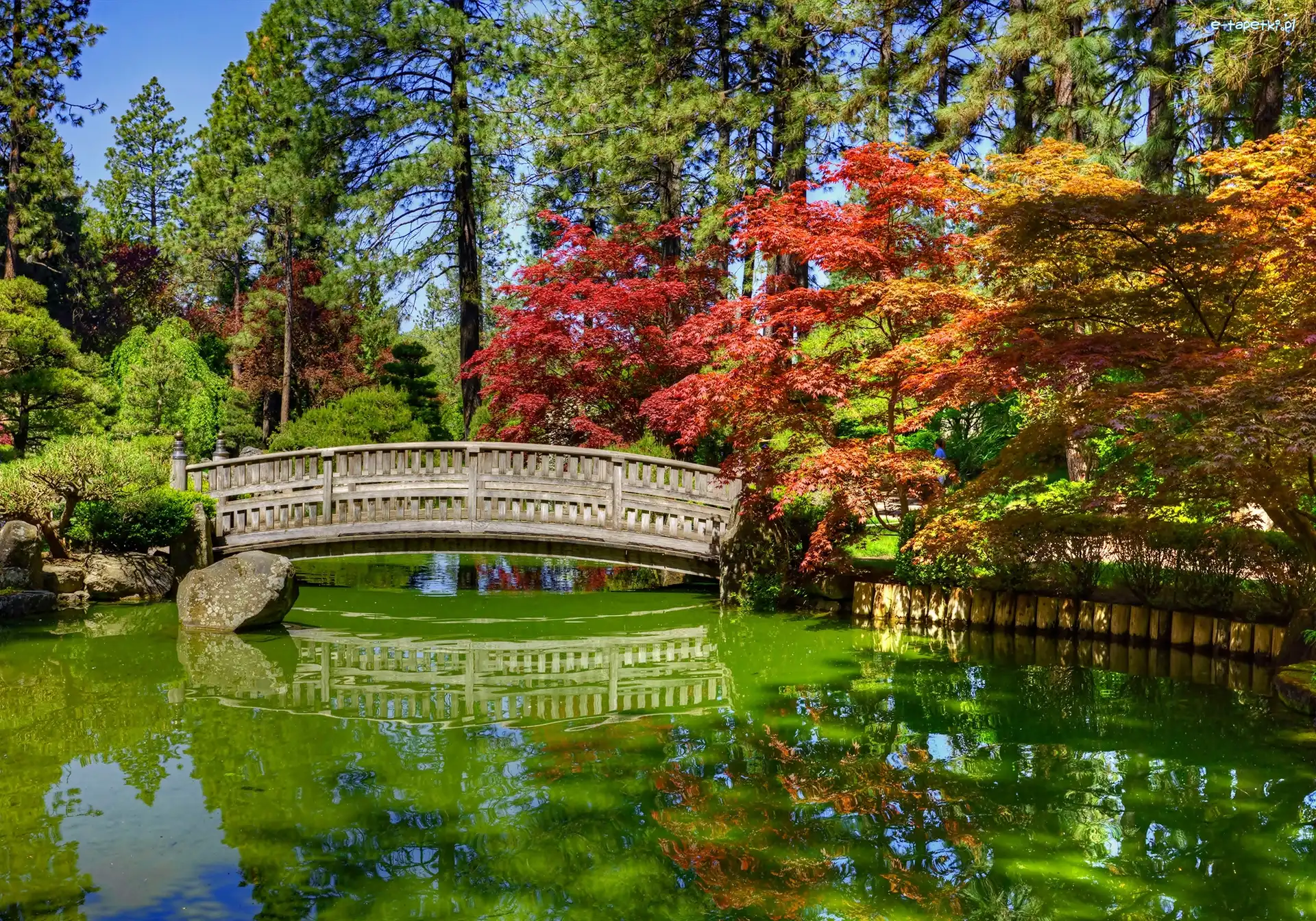 Stany Zjednoczone, Staw, Mostek, Ogród japoński, Ogród Nishinomiya Tsutakawa Japanese Garden, Stan Waszyngton, Miasto Spokane