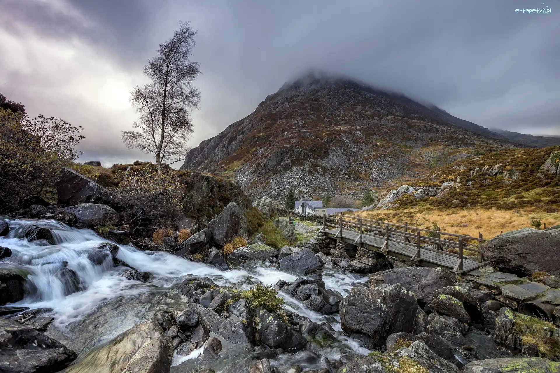 Mostek, Park Narodowy Snowdonia, Mgła, Kamienie, Dolina Ogwen, Rzeka Ogwen, Skały, Walia, Góry, Drzewo