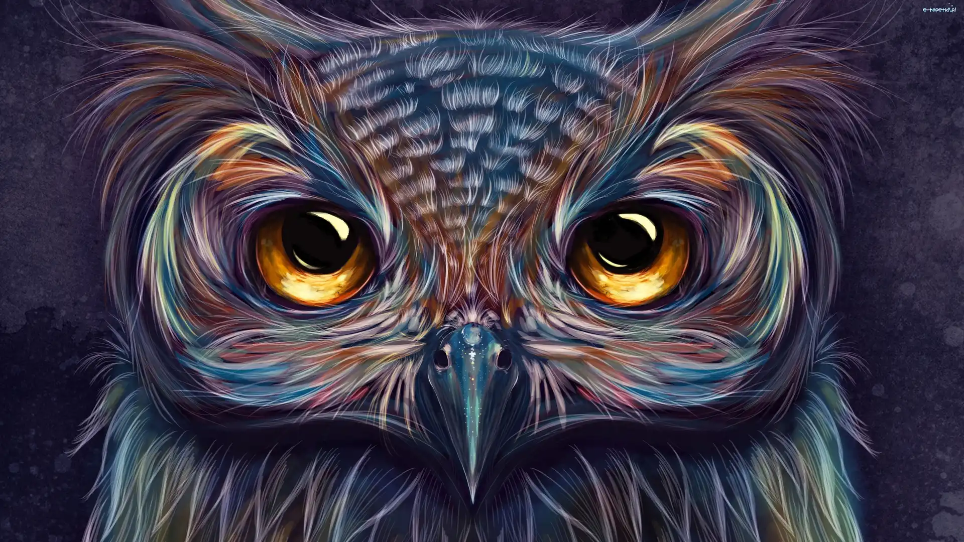 Paintography, Sowa