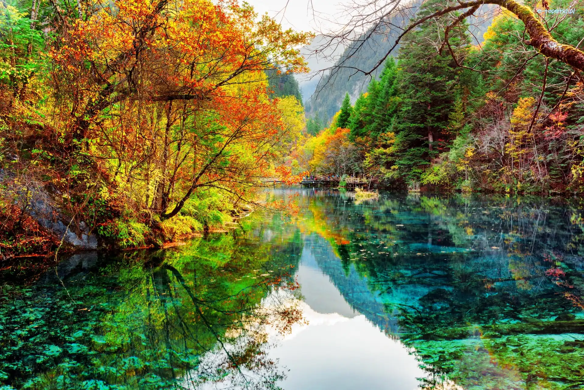 Odbicie, Jezioro Pięciu Kwiatów, Jezioro Wu Hua Hai, Park Narodowy Jiuzhaigou, Chiny, Jesień, Drzewa