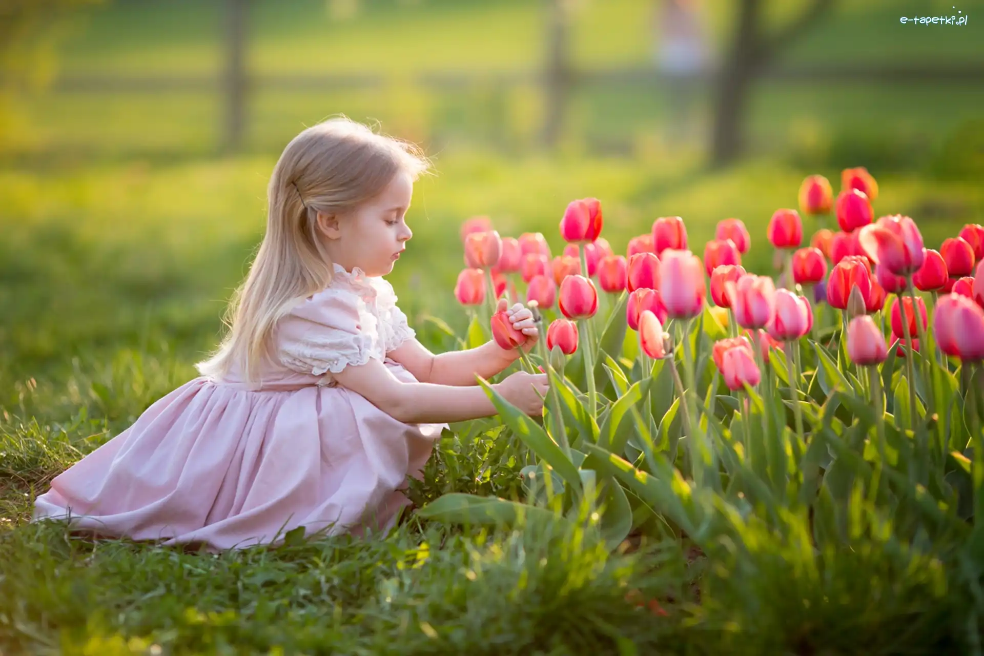 Tulipany, Blondynka, Dziewczynka