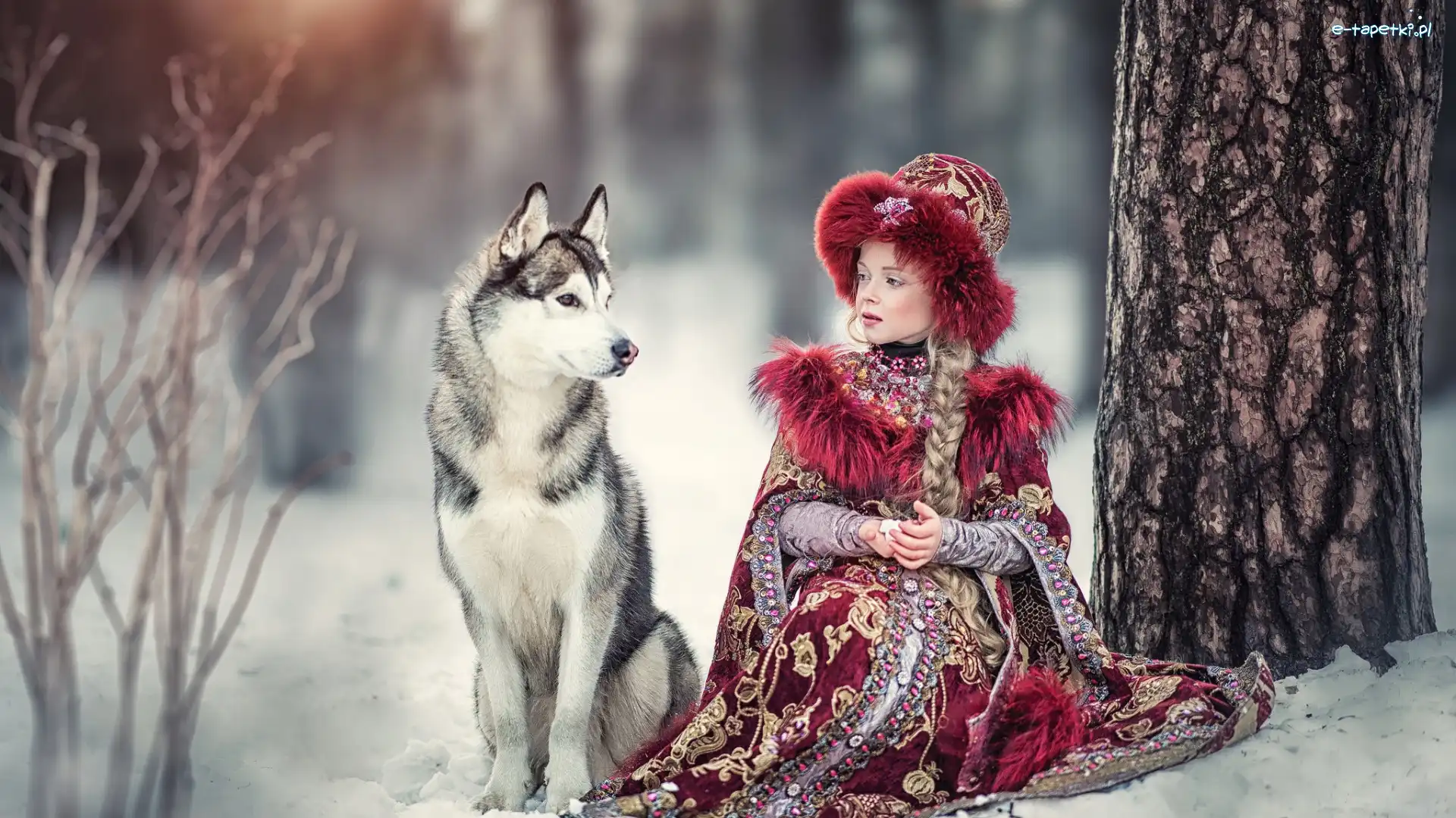Pies, Zima, Dziewczynka, Siberian husky, Drzewo