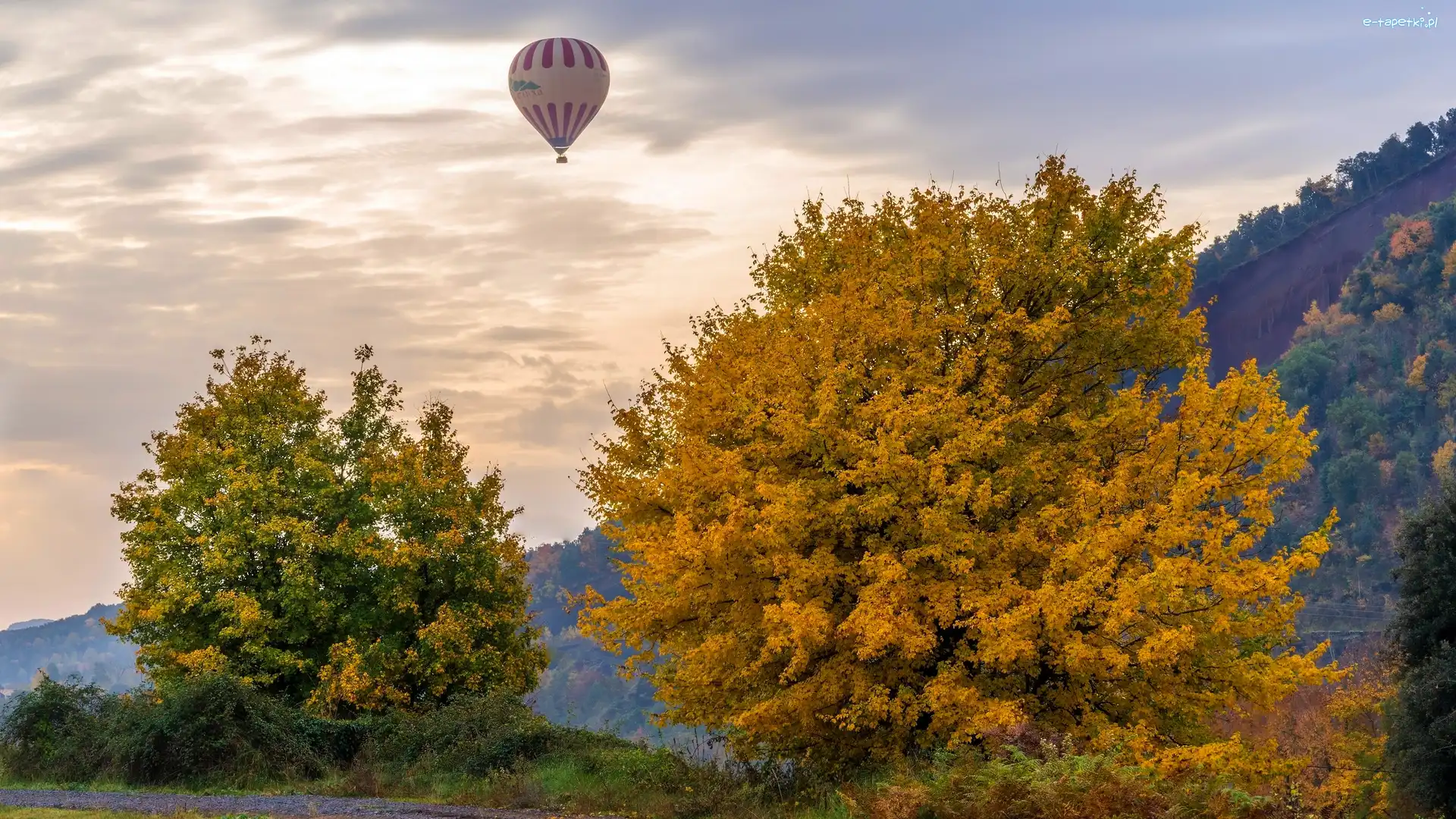 Balon, Jesień, Drzewa