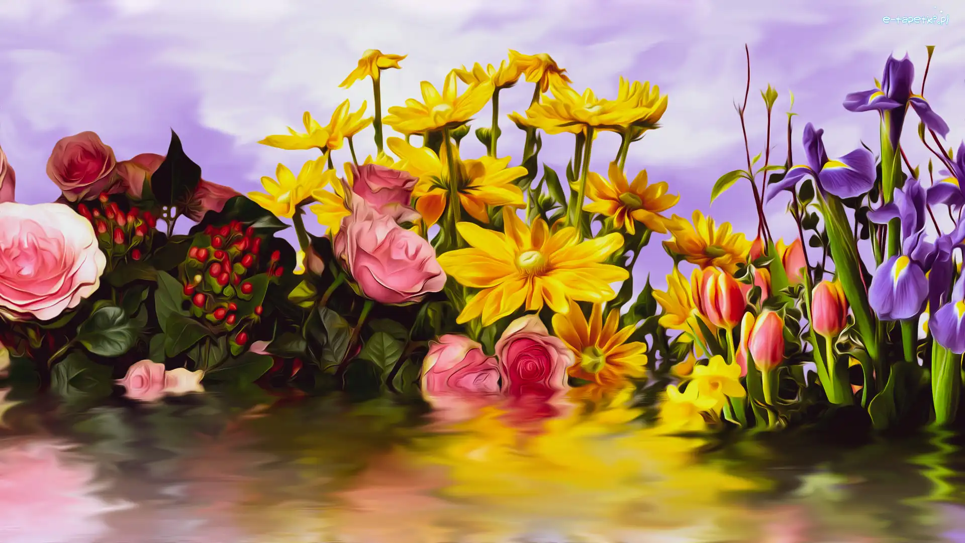 Rudbekia, Tulipany, Irysy, Grafika, Róże, Kwiaty