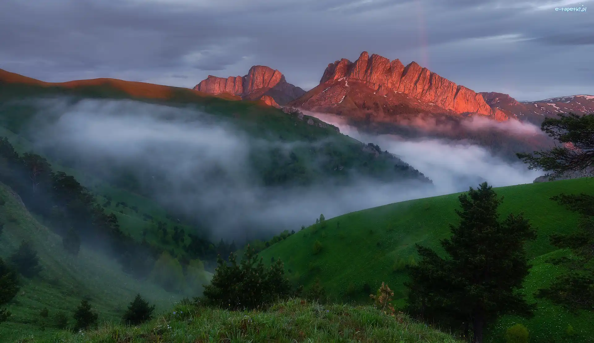Wzgórza, Mgła, Drzewa, Góry