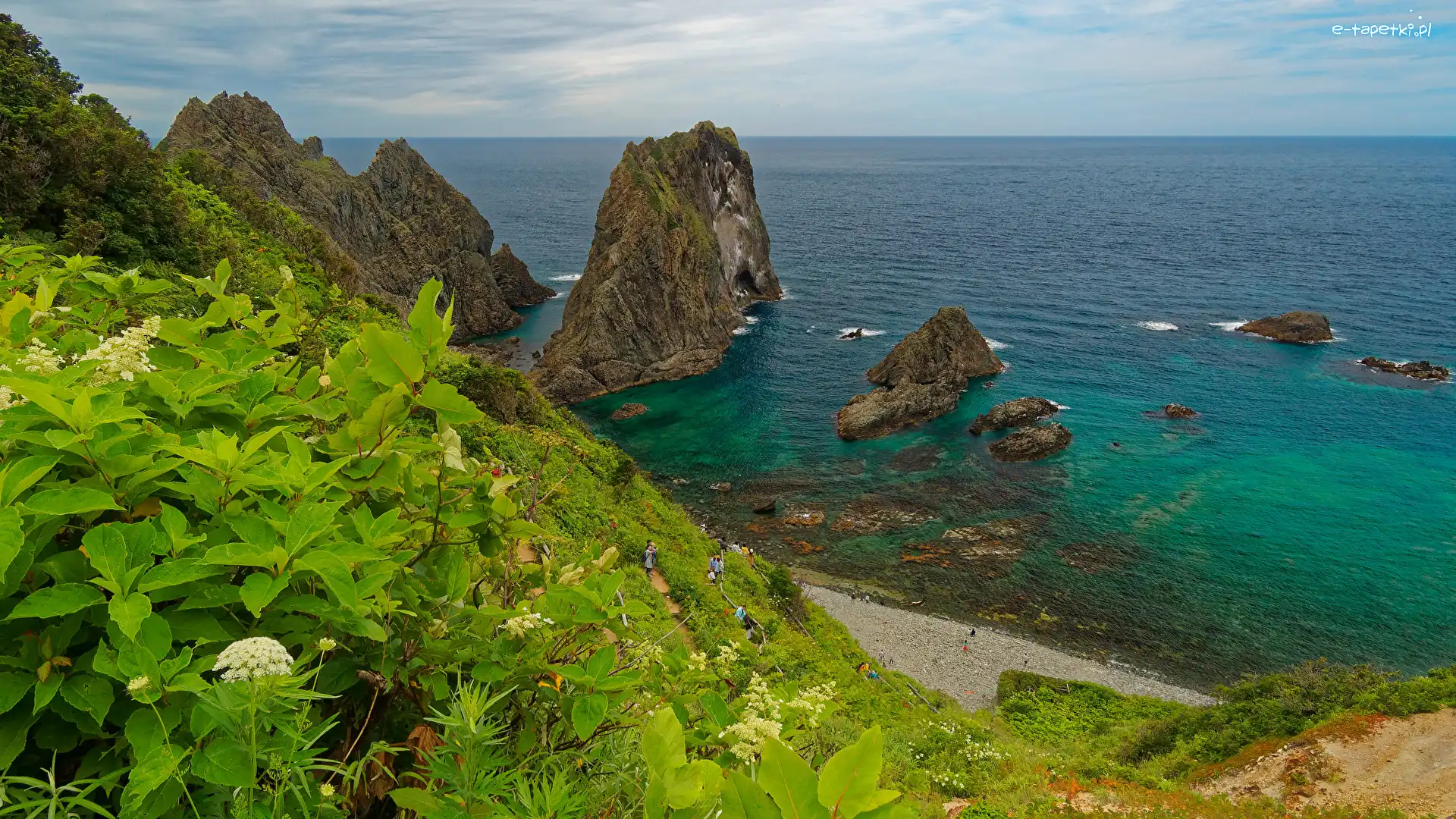 Japonia, Roślinność, Punkt widokowy Shimamui Coast, Skały, Morze, Hokkaido, Półwysep Shakotan