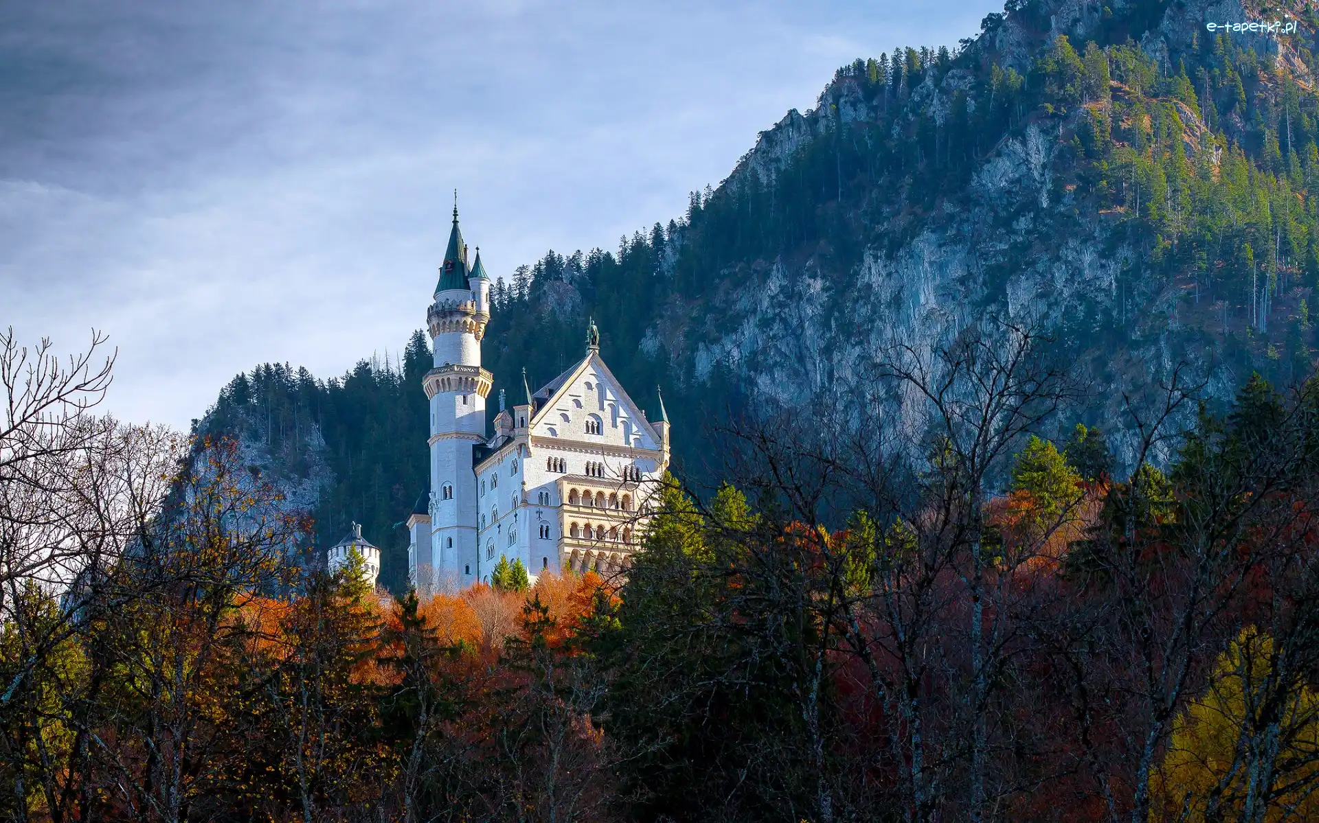 Drzewa, Niemcy, Skały, Jesień, Bawaria, Zamek Neuschwanstein