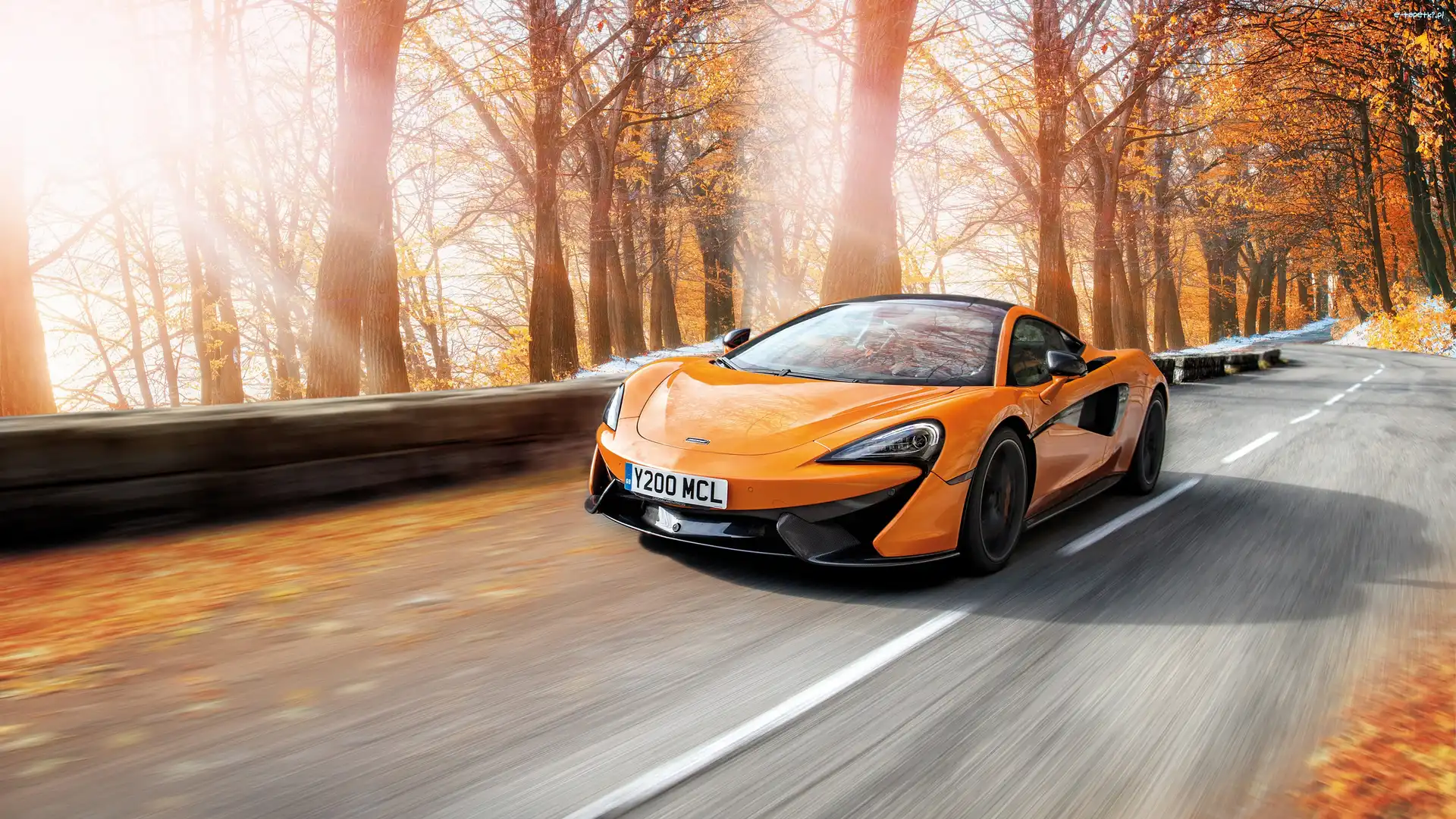 Pomarańczowy, Jesień, McLaren 570S, Drzewa, Droga