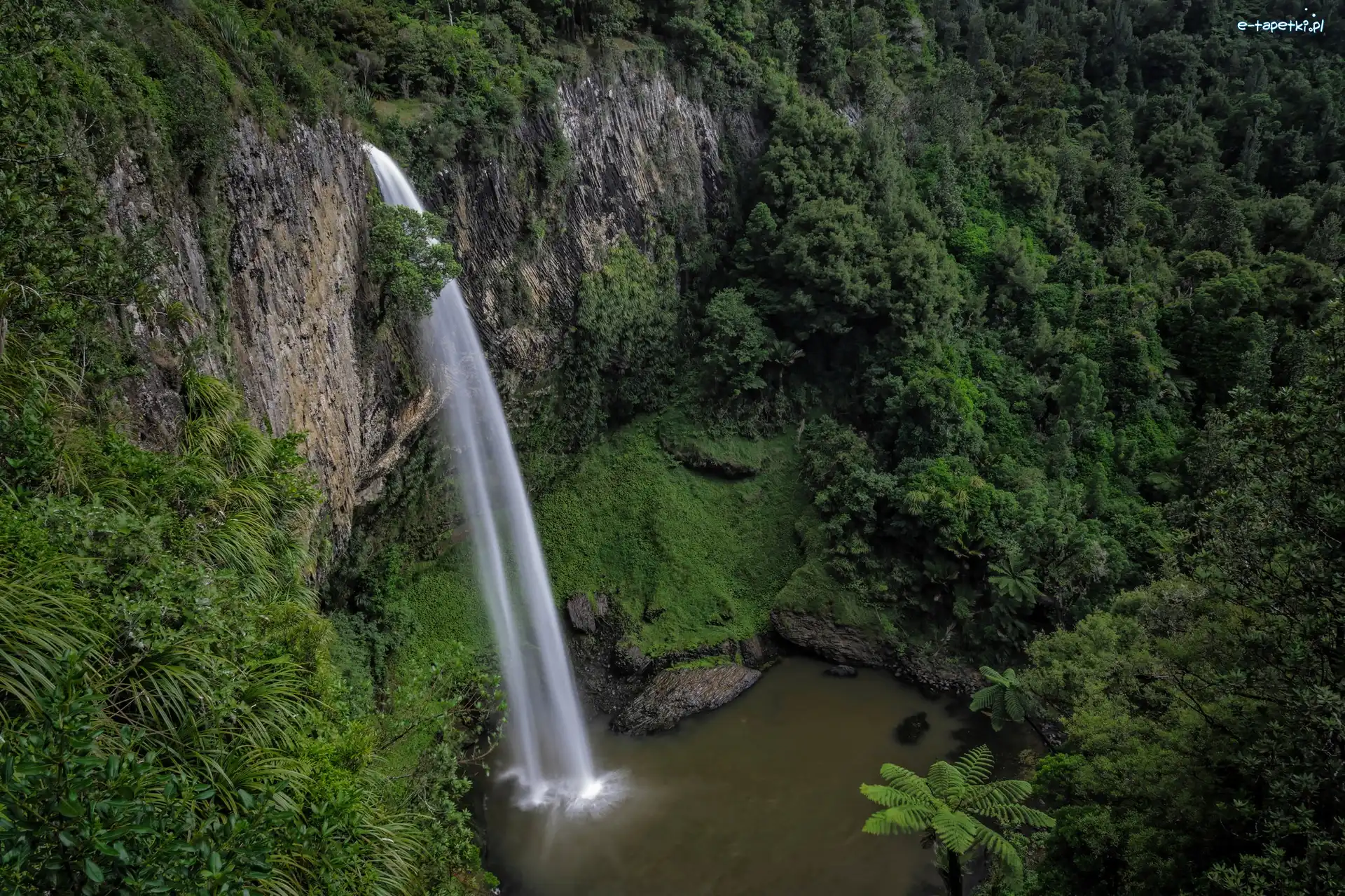 Wyspa Północna, Skała, Region Waikato, Nowa Zelandia, Las, Wodospad Bridal Veil Falls