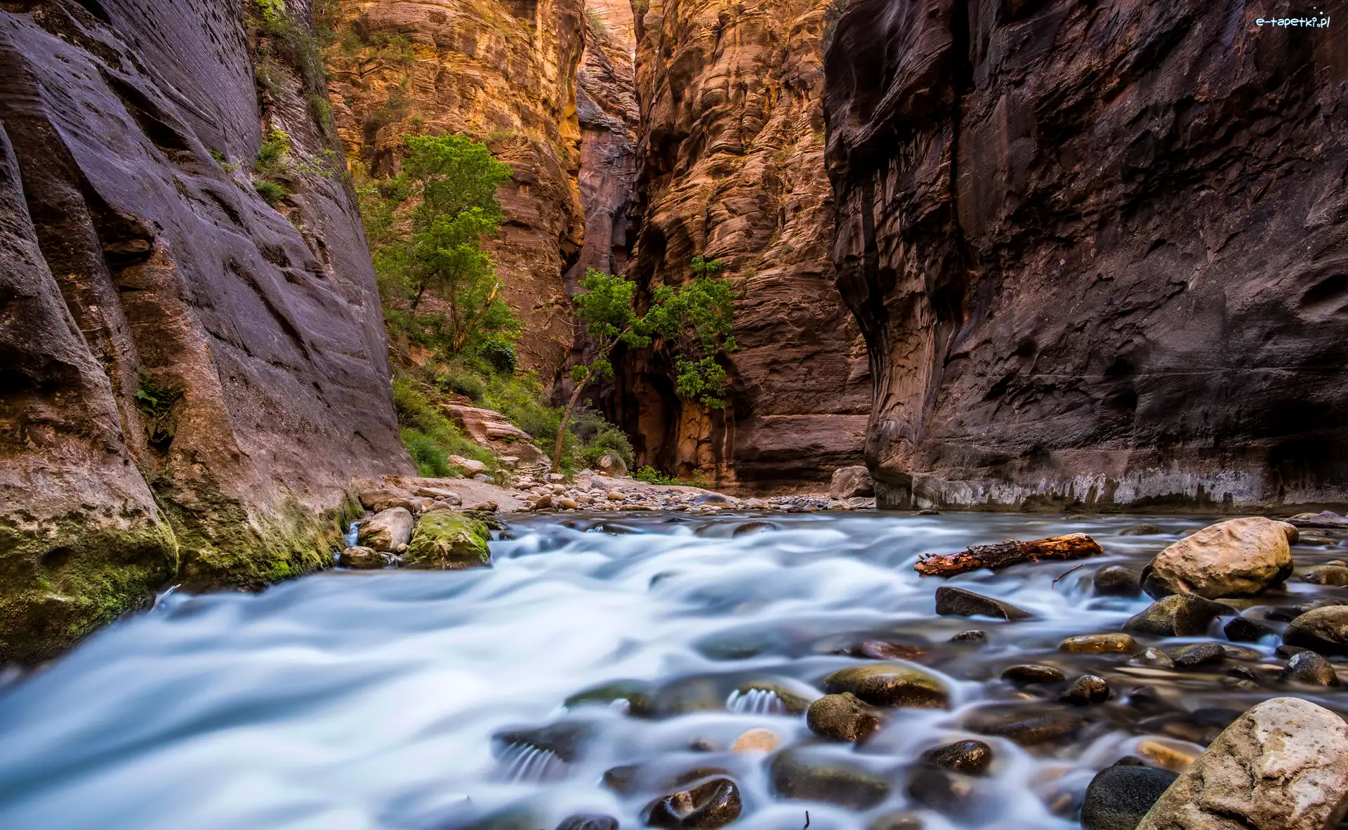 Skały, Park Narodowy Zion, Kanion Zion Narrows, Rzeka Virgin River, Stan Utah, Stany Zjednoczone
