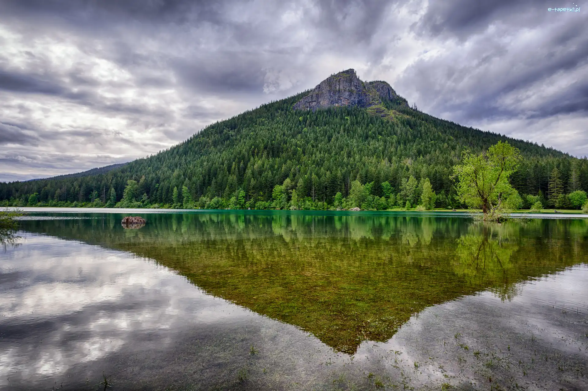 Las, Jezioro Rattlesnake Lake, Stany Zjednoczone, Stan Waszyngton, Drzewa, Chmury, Odbicie, Góra Rattlesnake Ridge