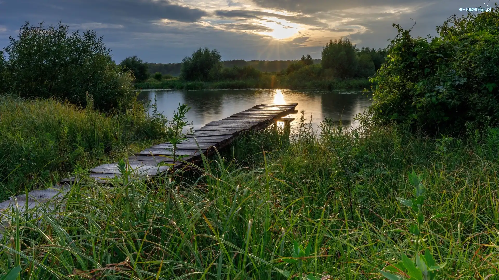 Słońce, Trawa, Drzewa, Chmury, Pomost, Rzeka