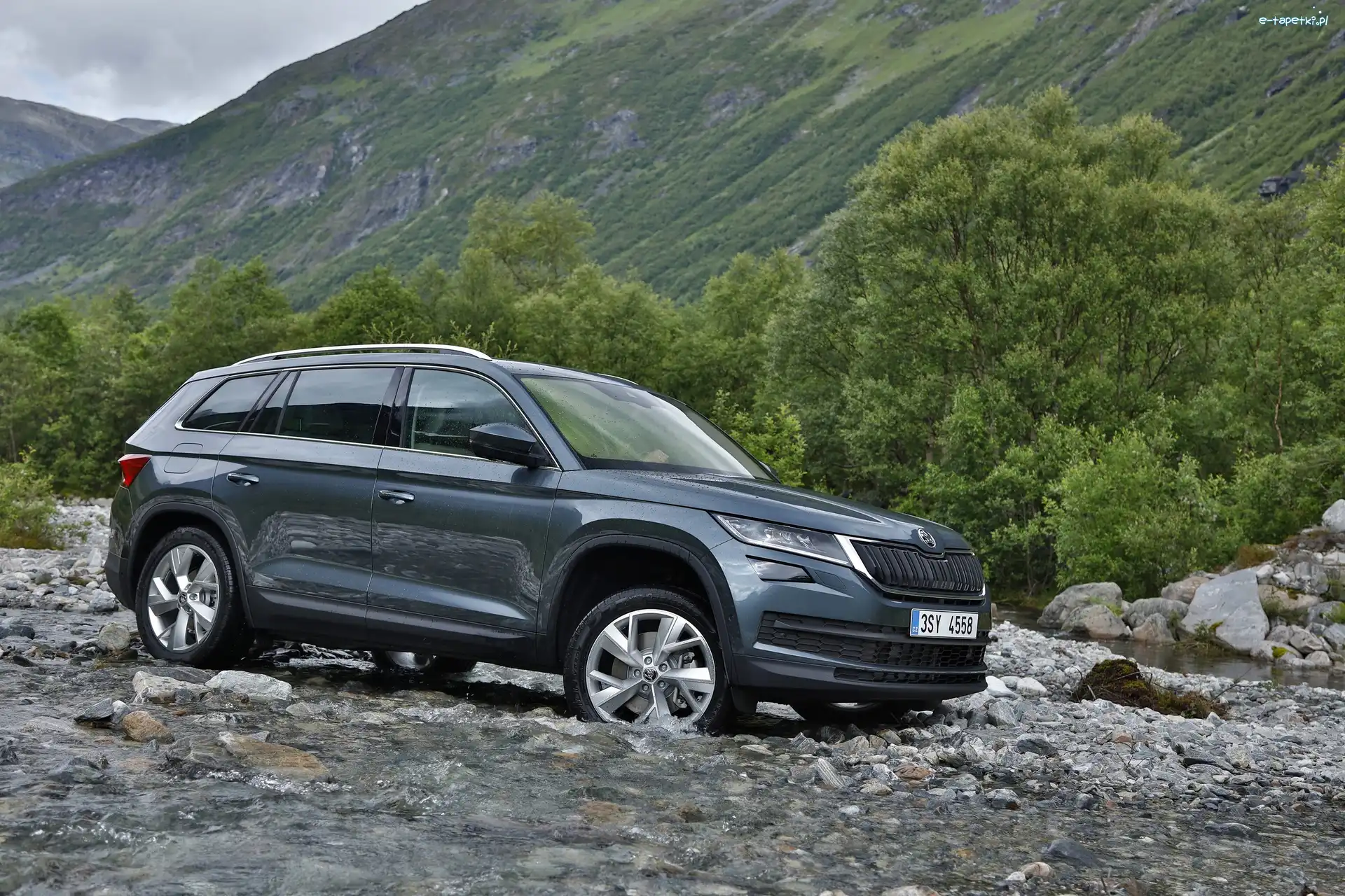 Bok, Skoda Kodiaq
