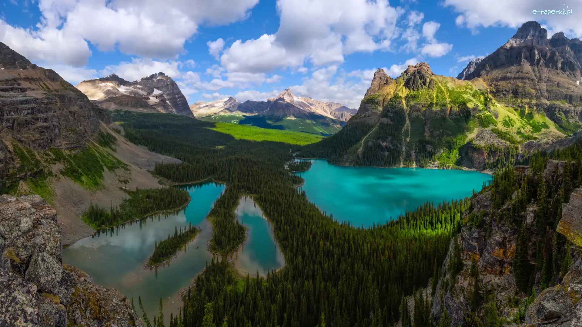 Prowincja Kolumbia Brytyjska, Jezioro O Hara, Park Narodowy Yoho, Kanada, Lasy, Góry Canadian Rockies