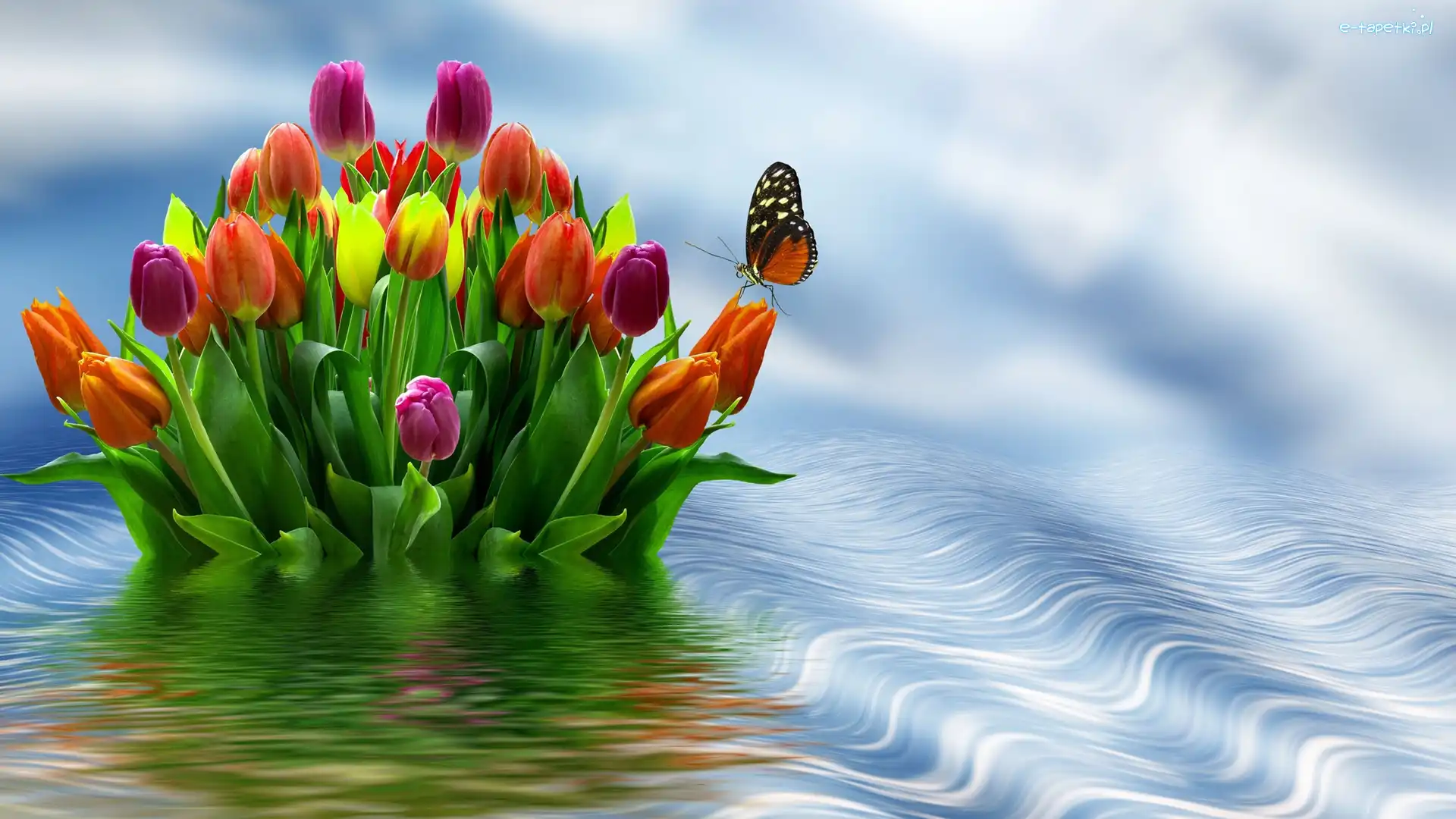 Tulipany, Grafika, Motyl, Kwiaty