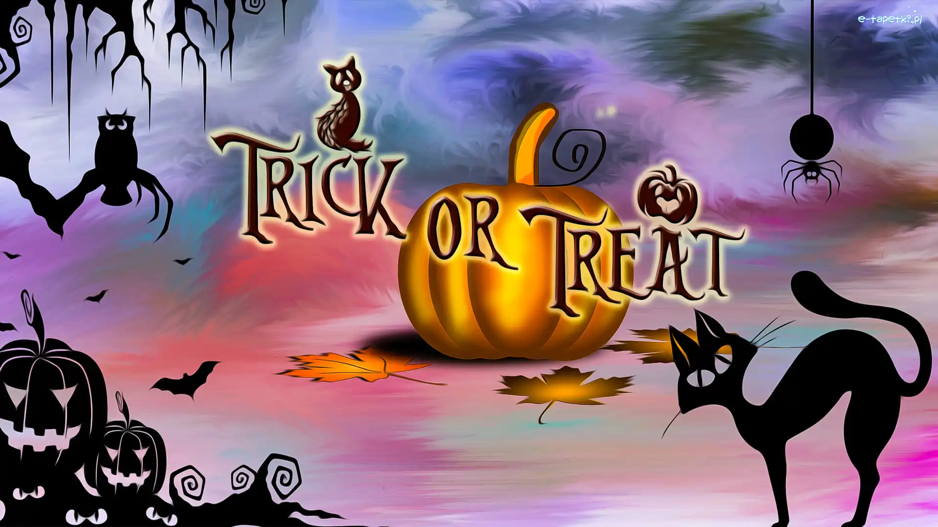 Kot, Trick or Treat, Dynia, Grafika, Napis, Halloween