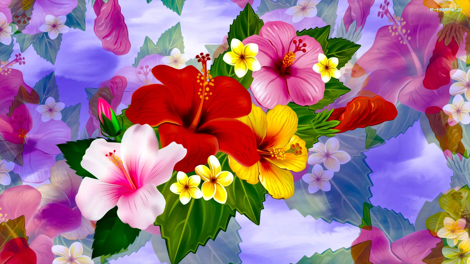 Kolorowe, Grafika, Hibiskusy, Kwiaty