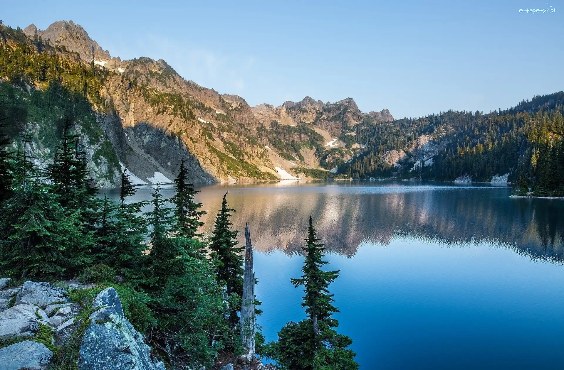 Świerki, Góry Kaskadowe, Stany Zjednoczone, Stan Waszyngton, Przełęcz Snoqualmie Pass, Kamienie, Hrabstwo King, Jezioro Snow Lake