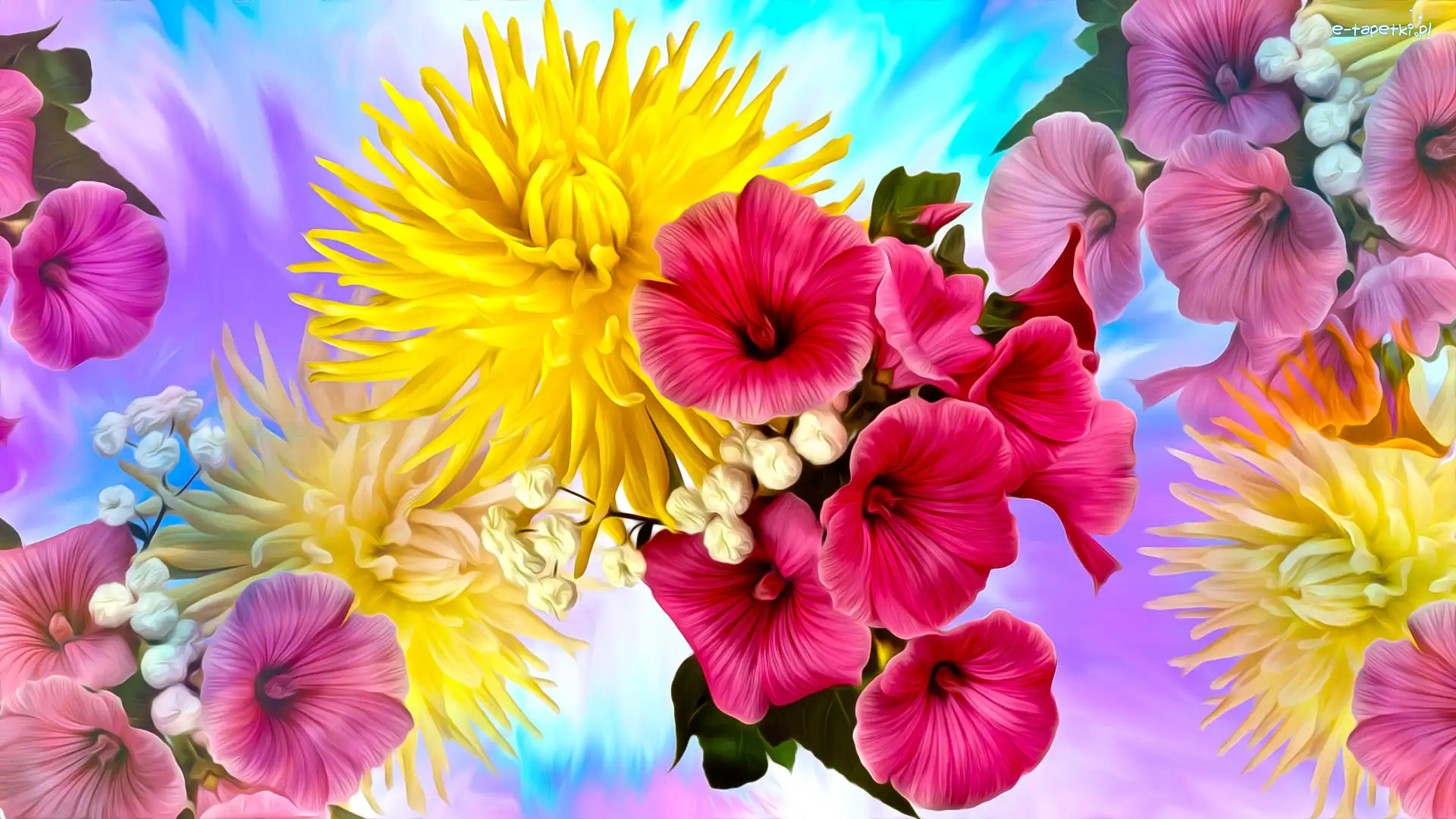 Petunia, Grafika, Chryzantema, Kwiaty