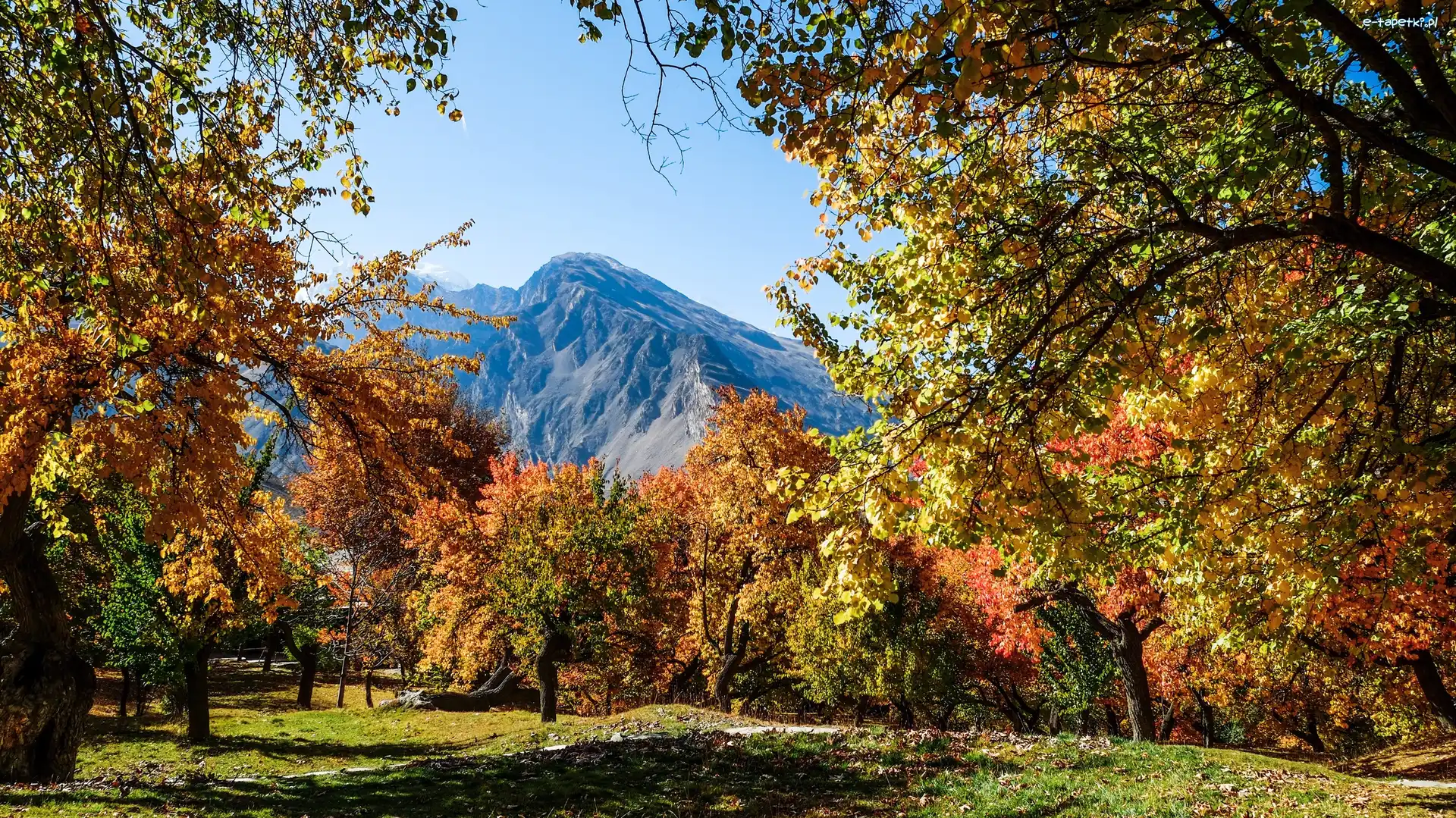 Gilgit-Baltistan, Park, Jesień, Pakistan, Góry Karakorum, Drzewa