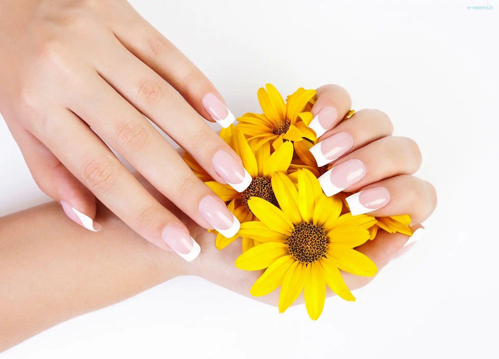 Chryzantemy, Manicure, Ręce, Żółte
