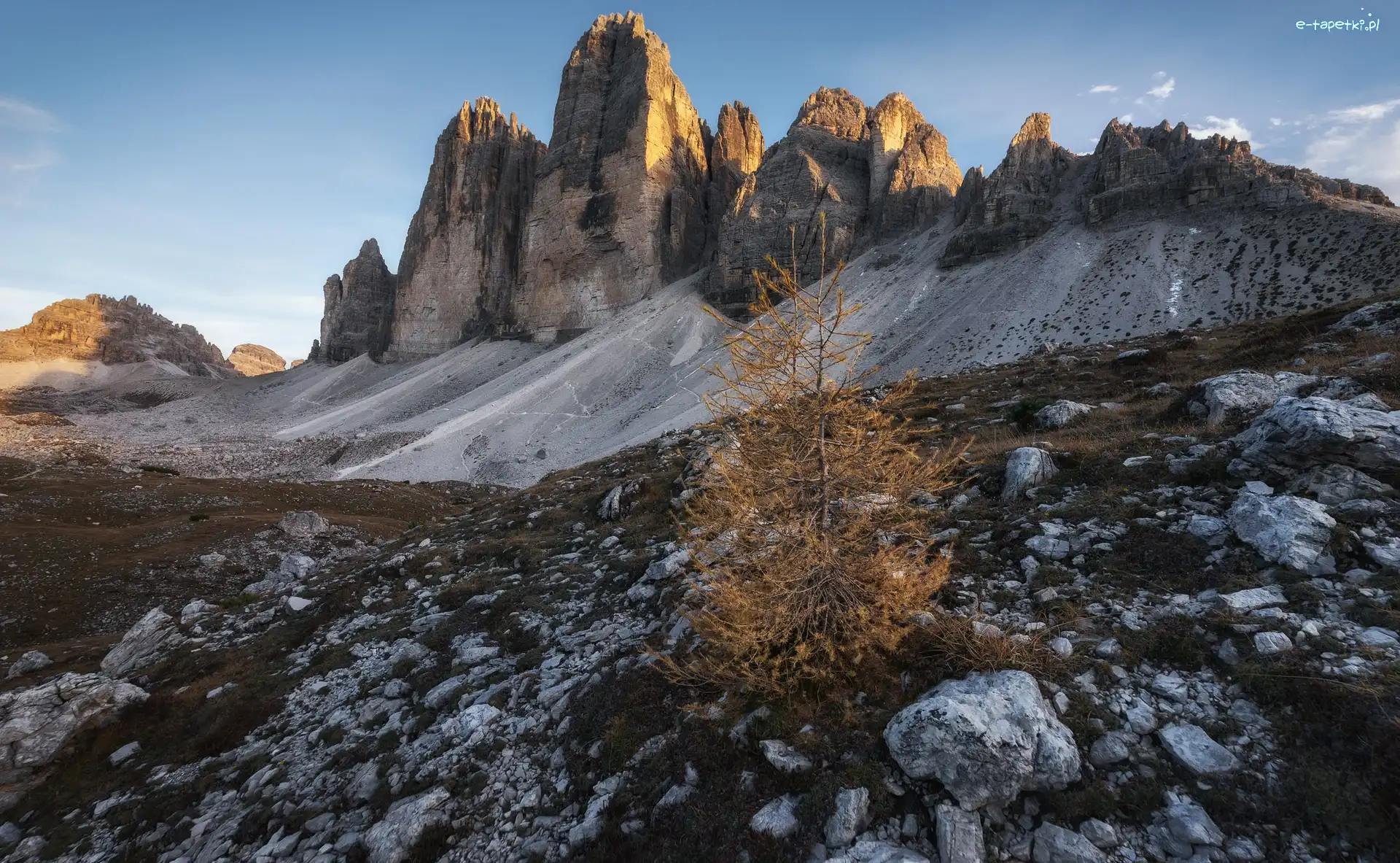 Dolomity, Góry, Tre Cime di Lavaredo, Włochy, Kamienie, Drzewo
