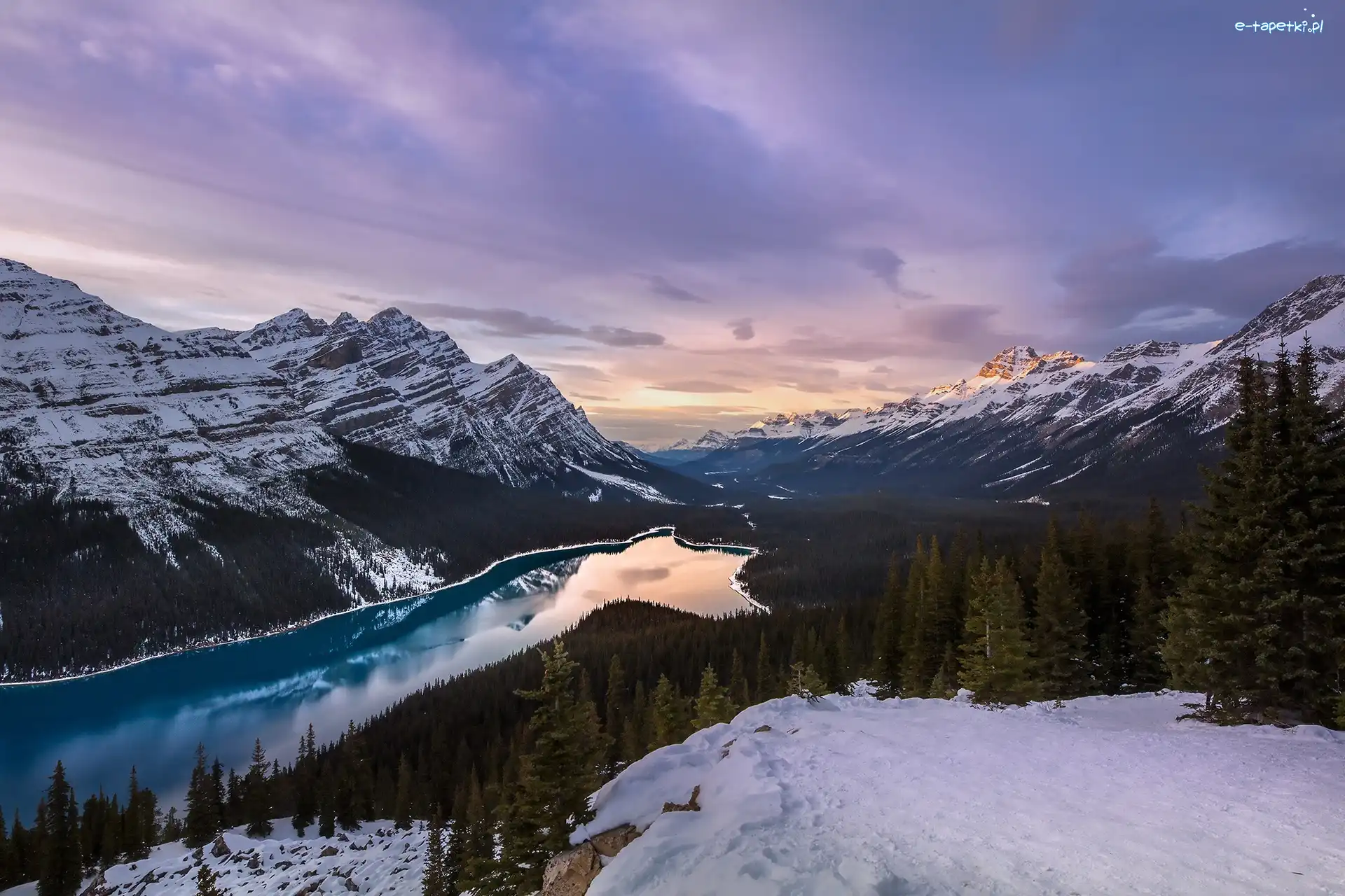 Lasy, Jezioro Peyto Lake, Góry Canadian Rockies, Zima, Park Narodowy Banff, Kanada